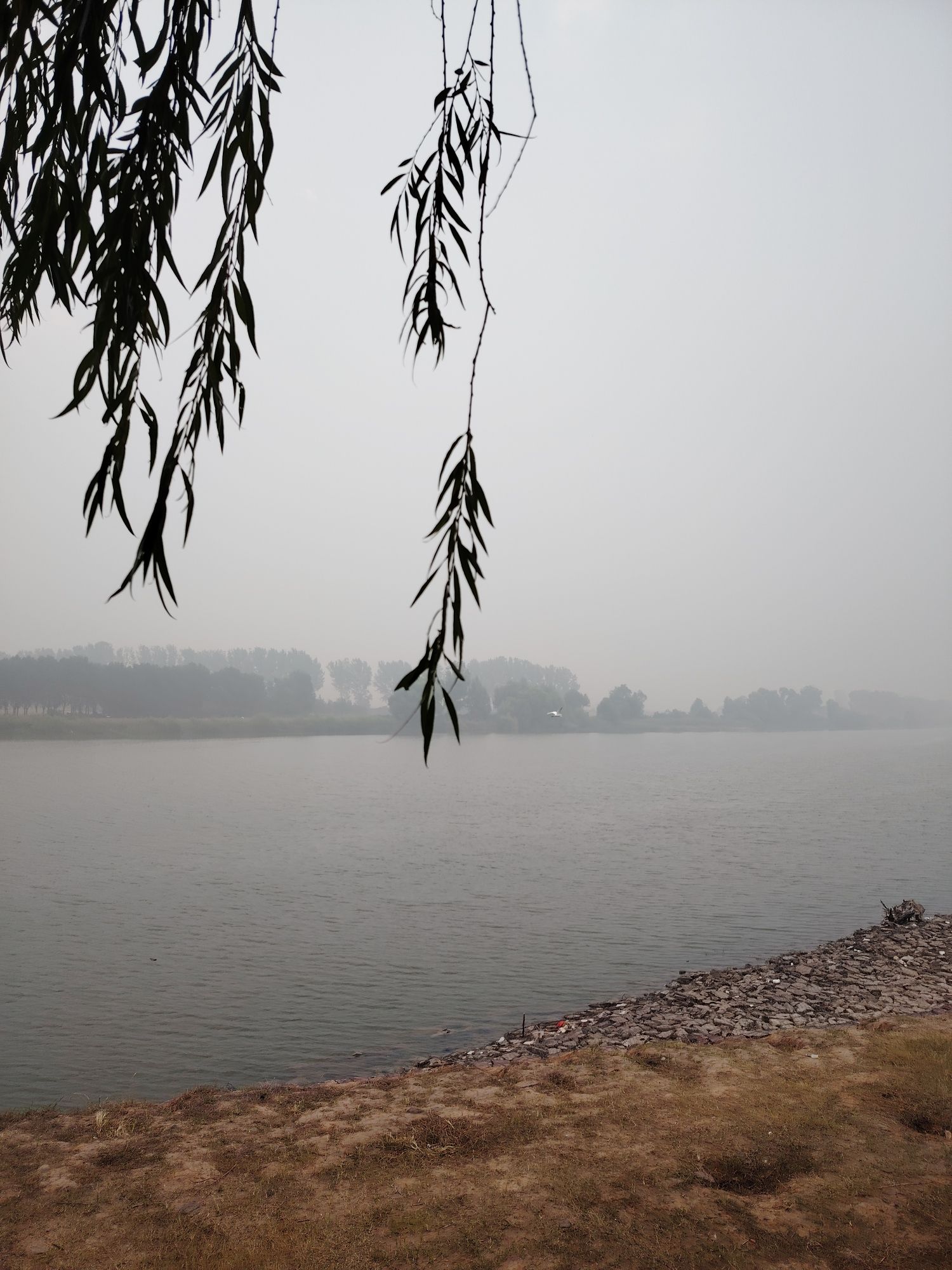河洛汇流景区旅行图片 1