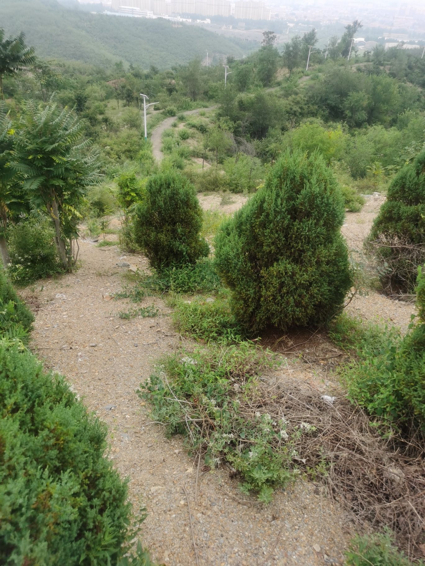 焦作市龙翔矿山公园