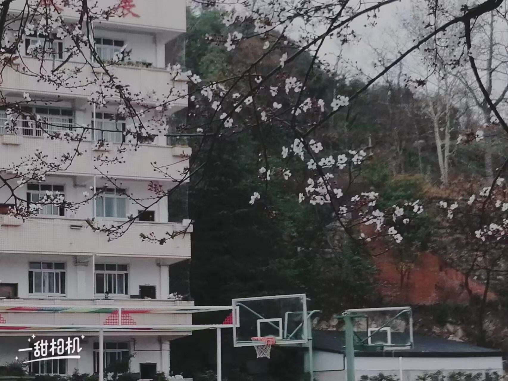遵义市第十九中学