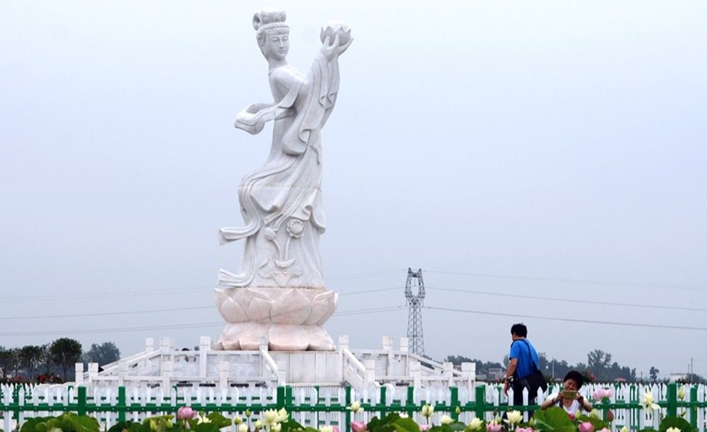 莲花仙子旅行图片 1