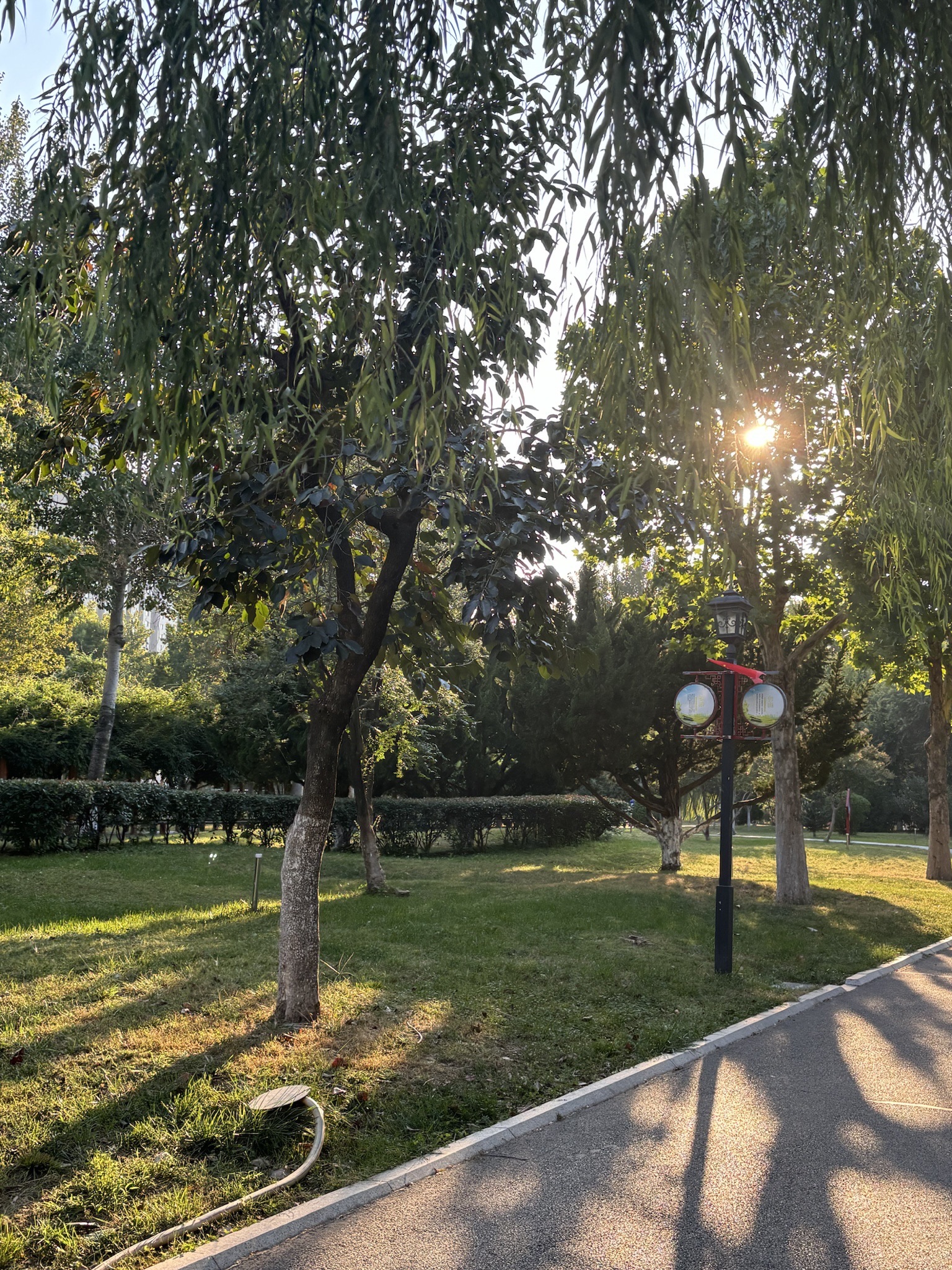 张择端文化公园旅行图片 3