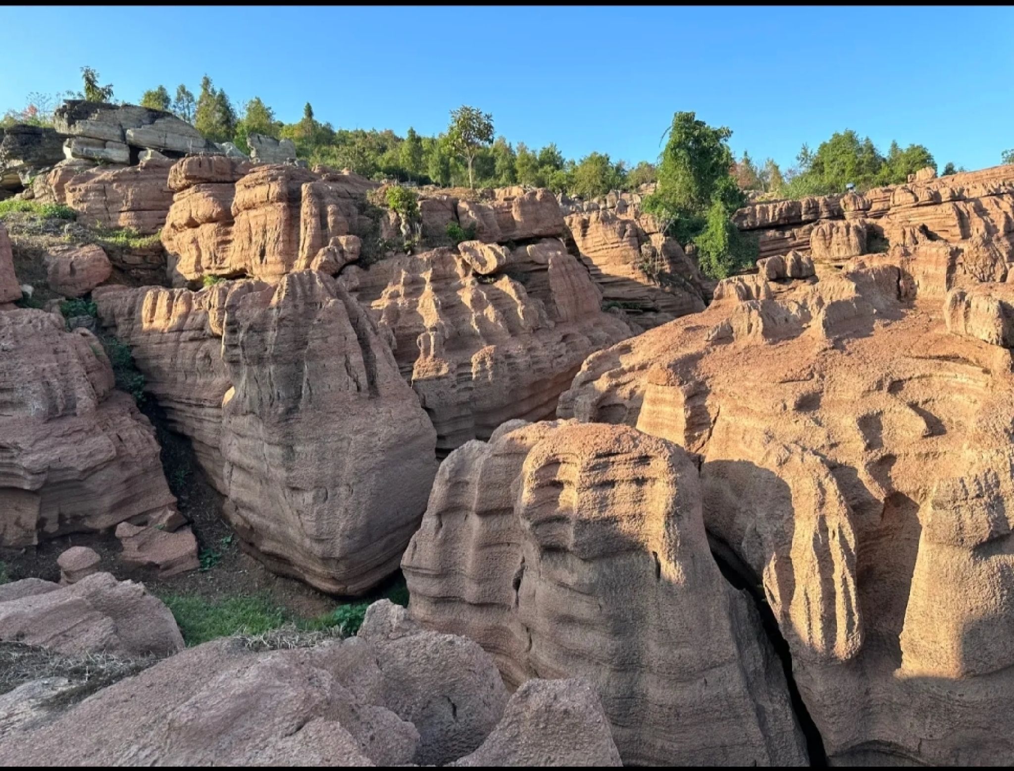 酉阳红石林地质公园旅行图片 1