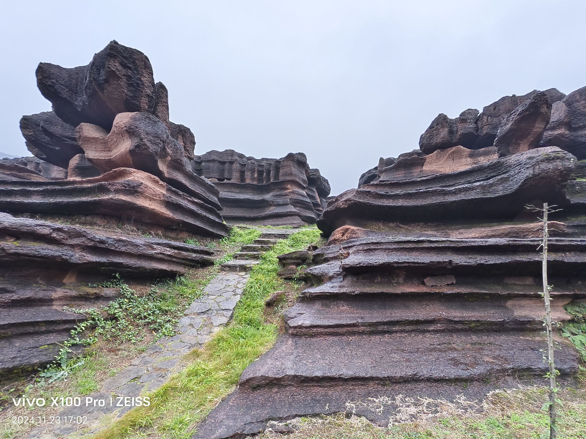 酉阳红石林地质公园旅行图片 3