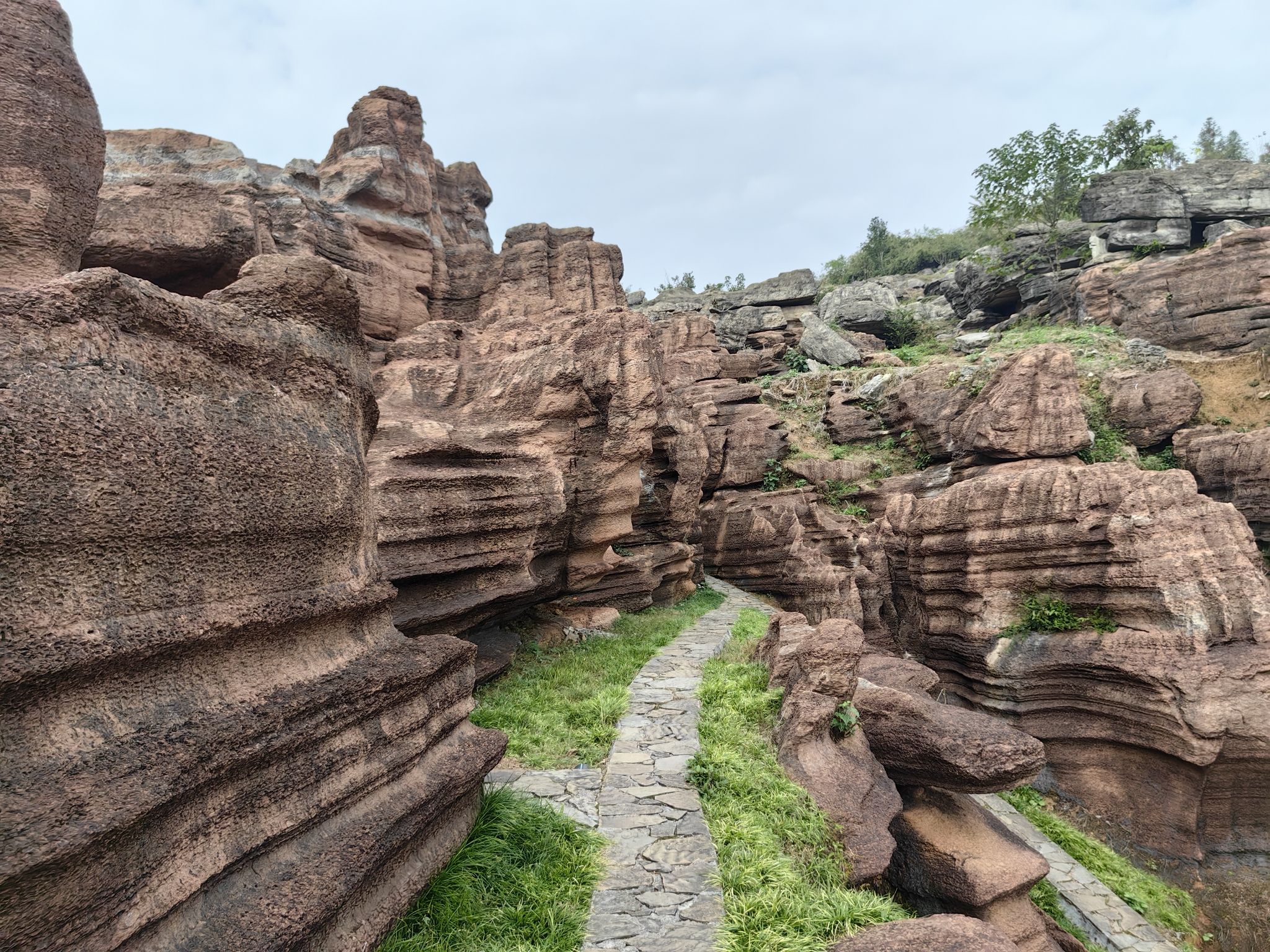 酉阳红石林地质公园旅行图片 3