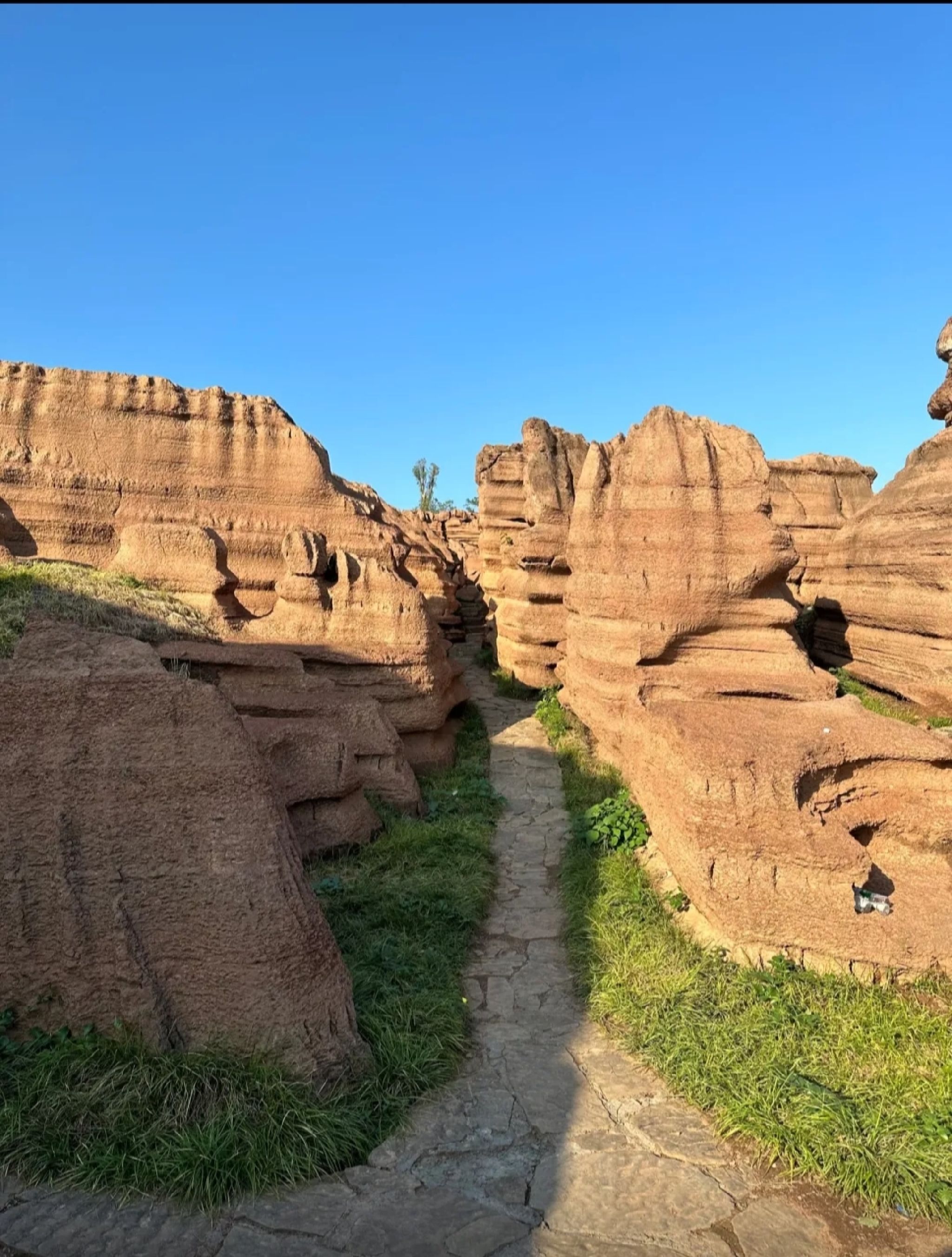 酉阳红石林地质公园旅行图片 2