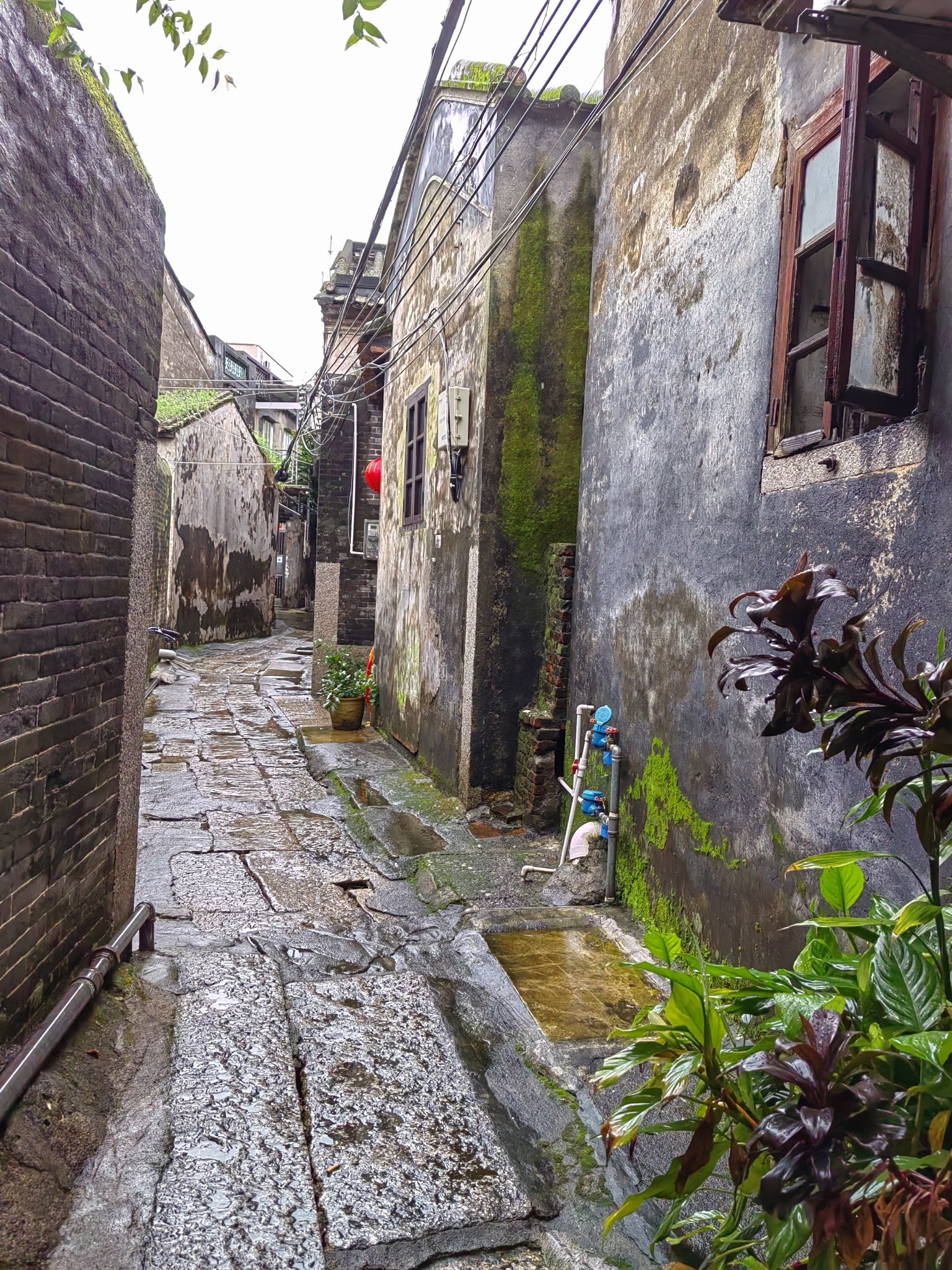 唐家古镇旅行图片 2