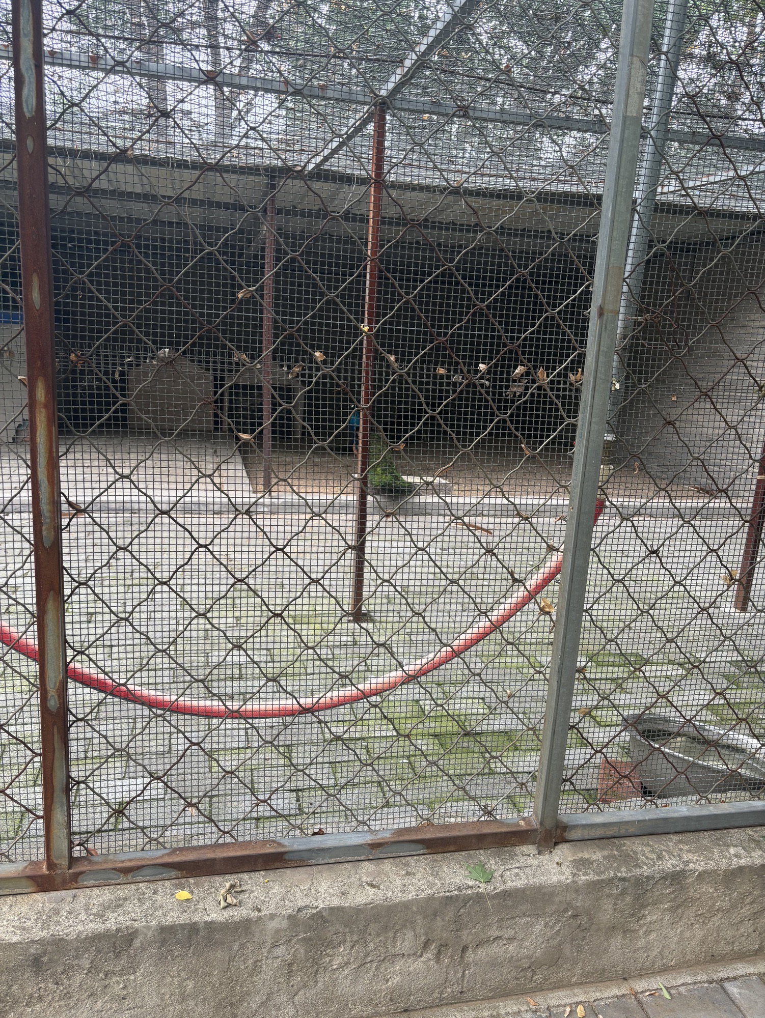 南山公园旅行图片 2
