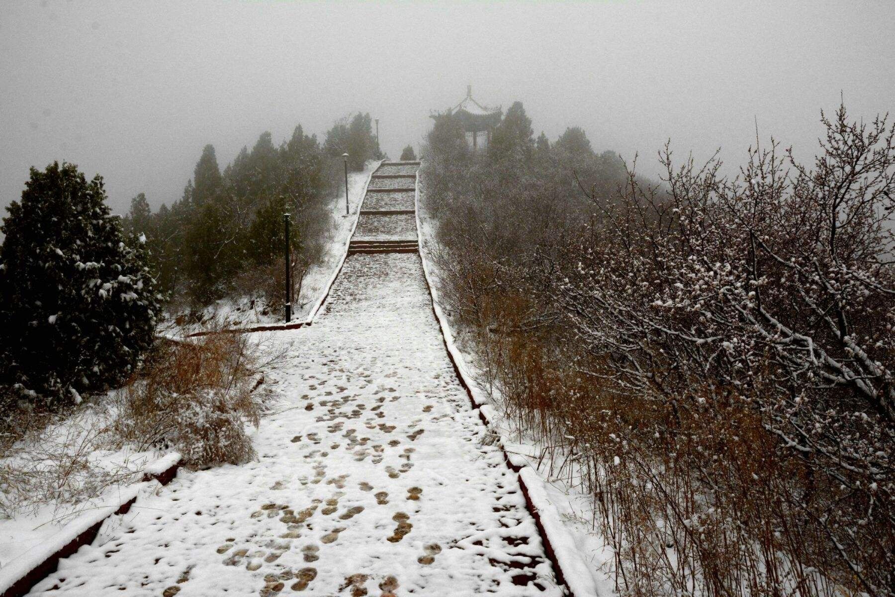南山公园旅行图片 2