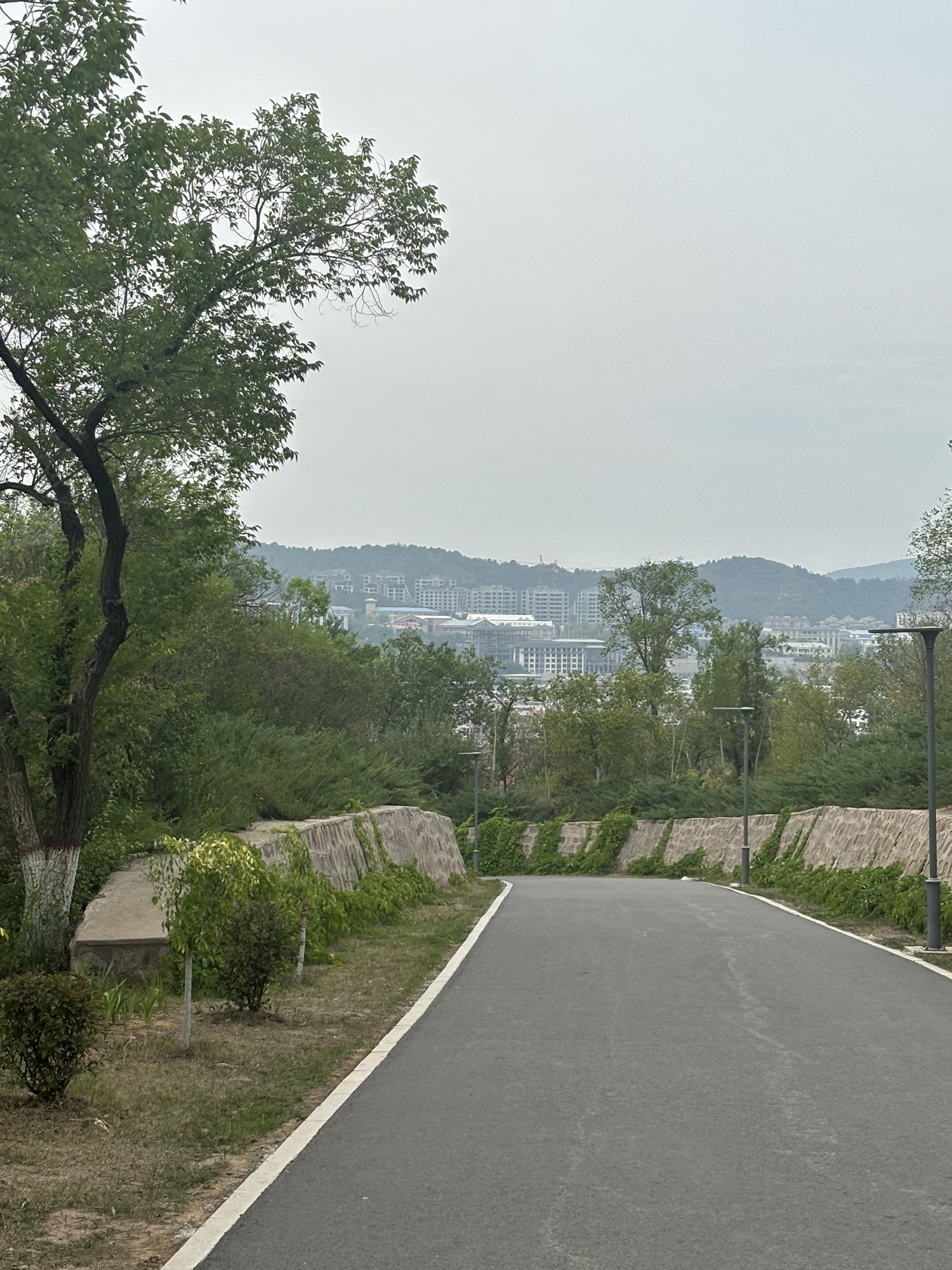 南山公园旅行图片 1