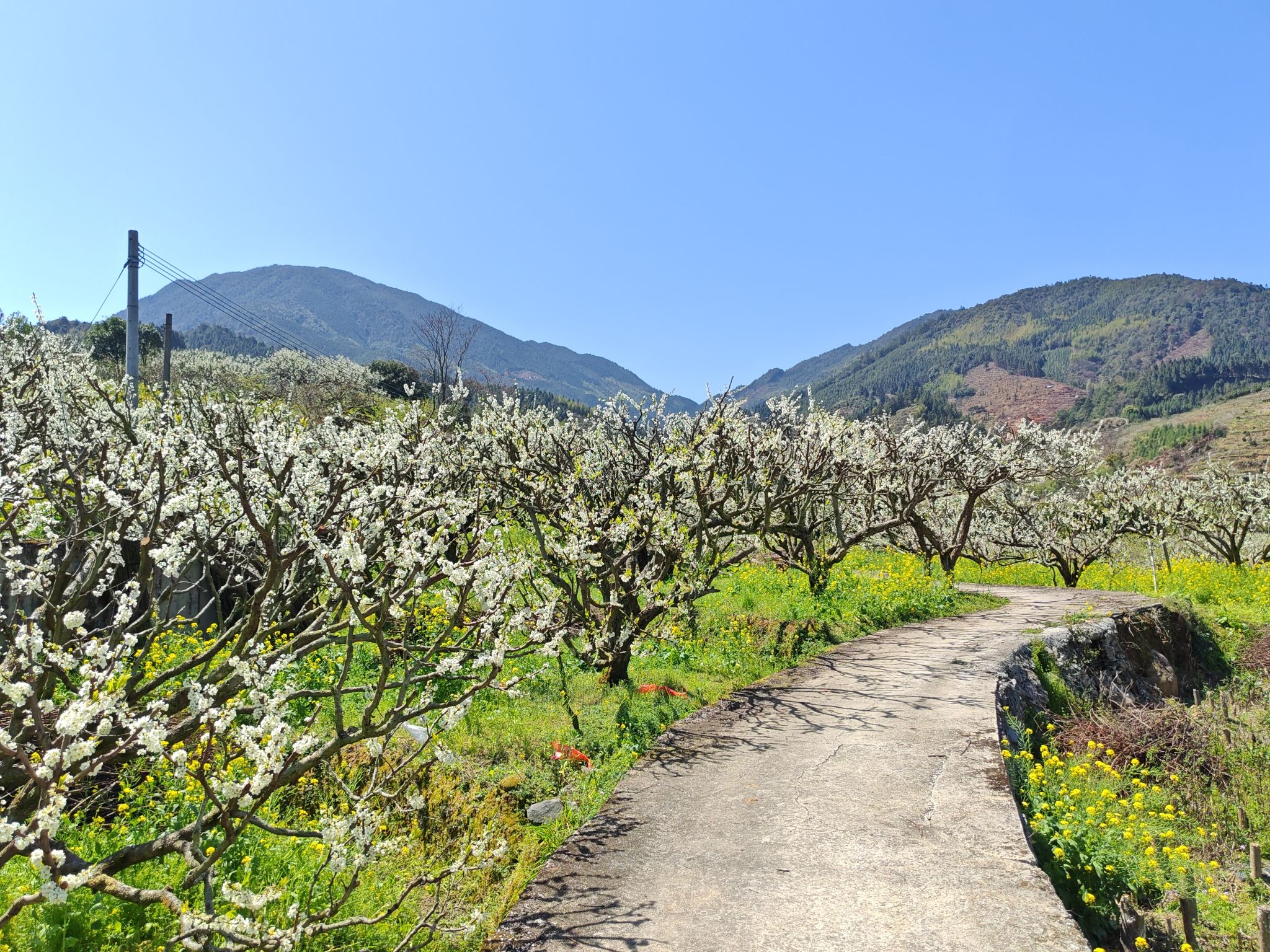 乐昌九峰山旅行图片 1
