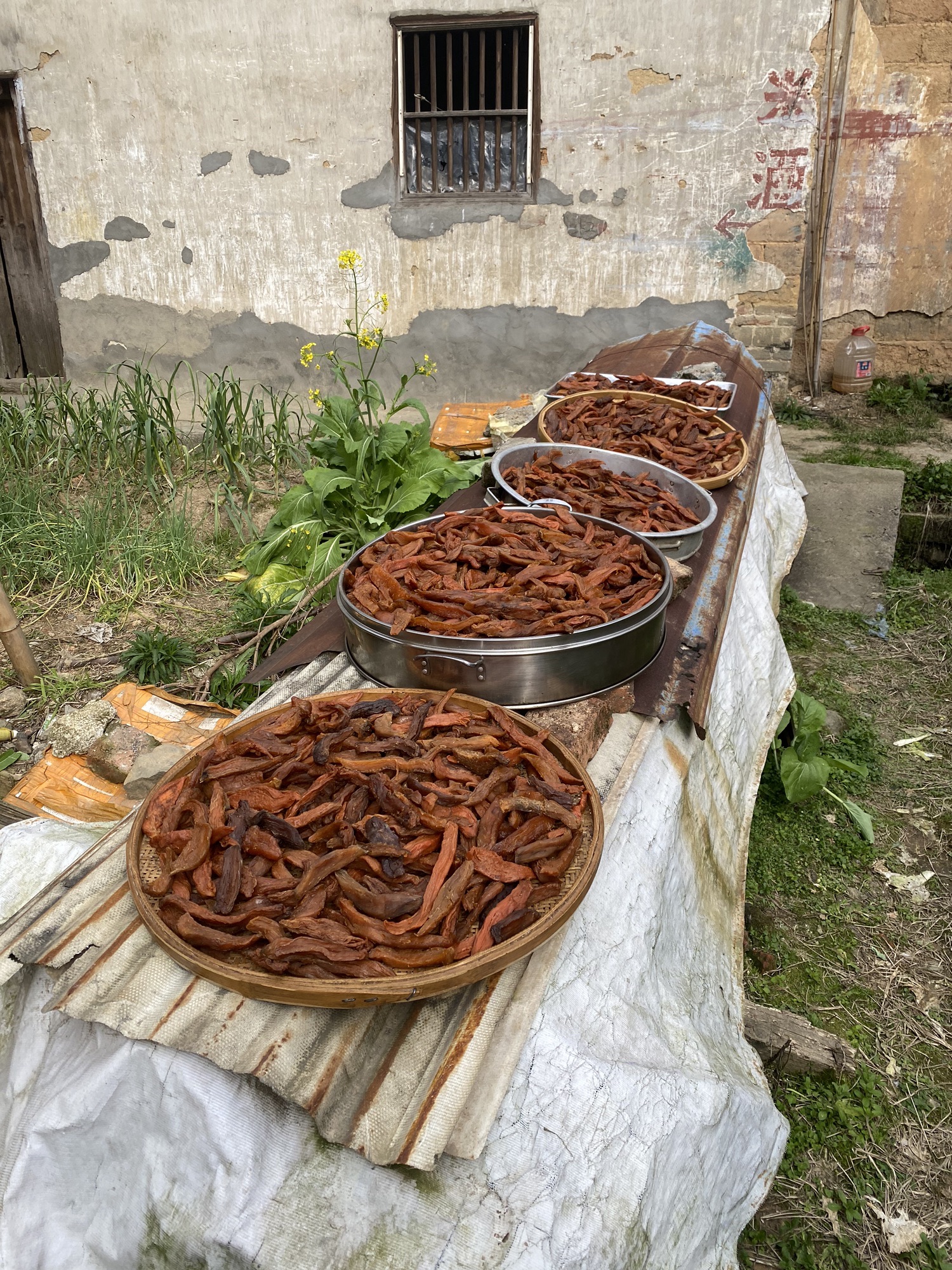 乐昌九峰山旅行图片 2