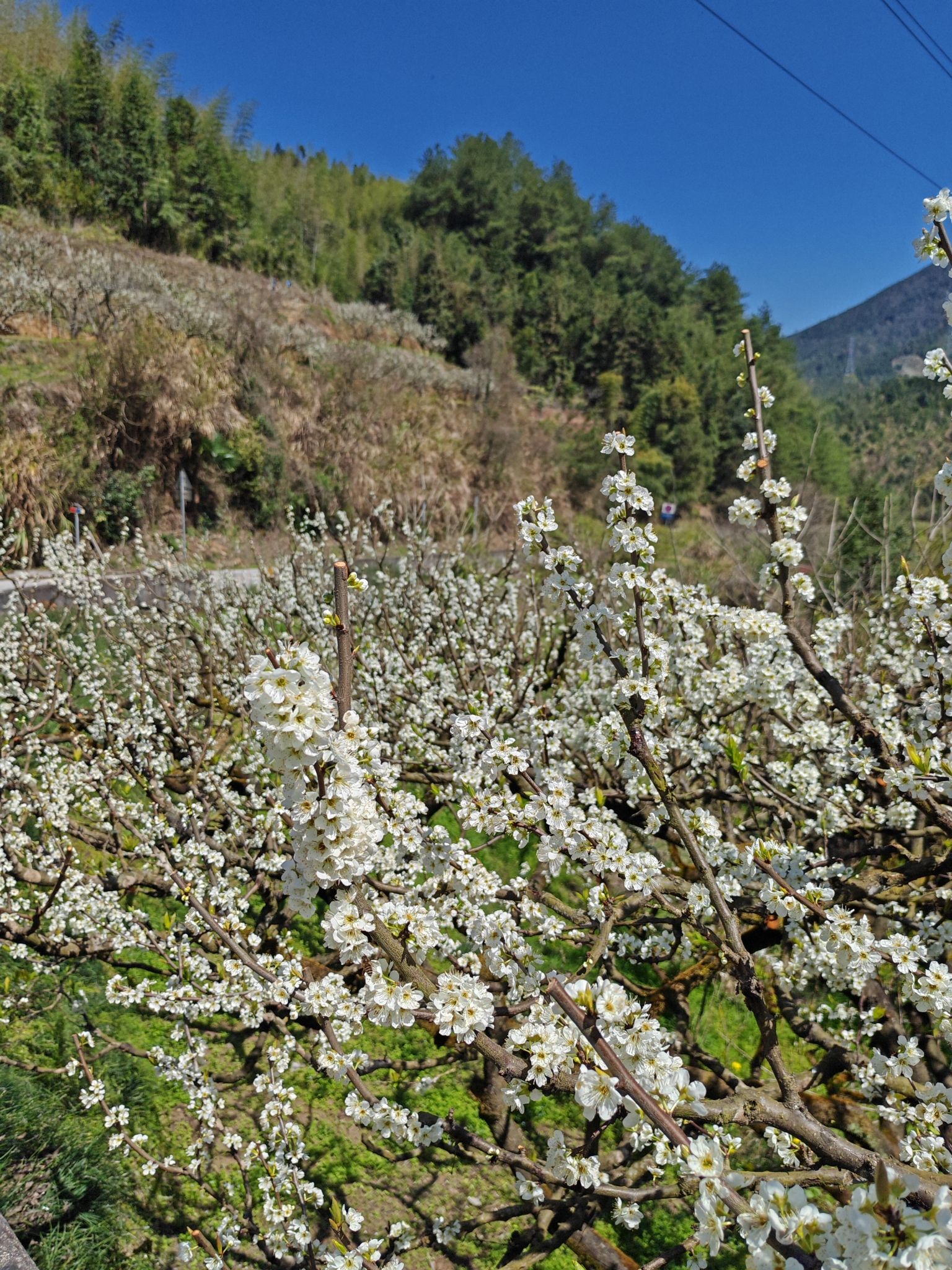 乐昌九峰山旅行图片 3
