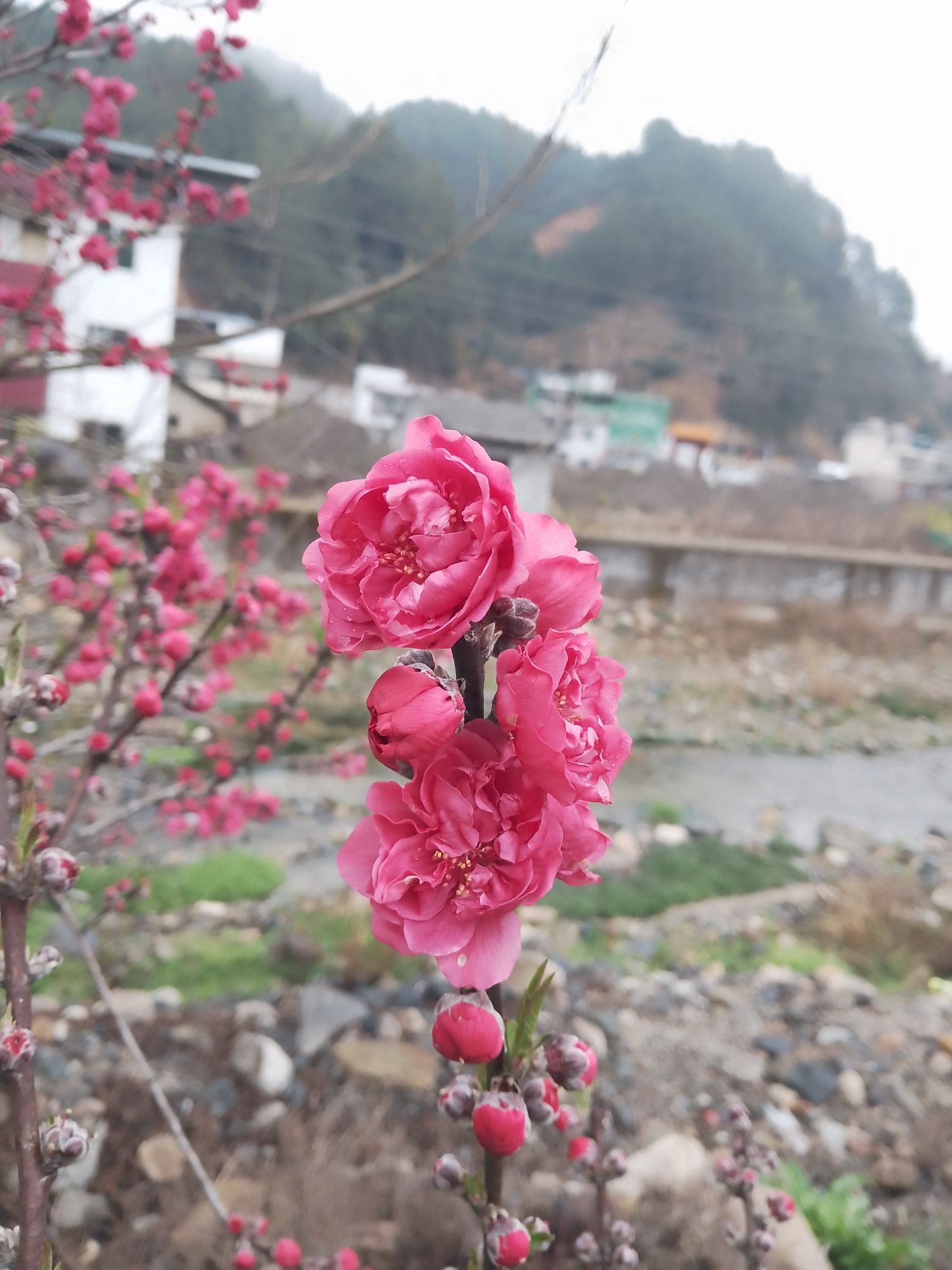 乐昌九峰山旅行图片 2