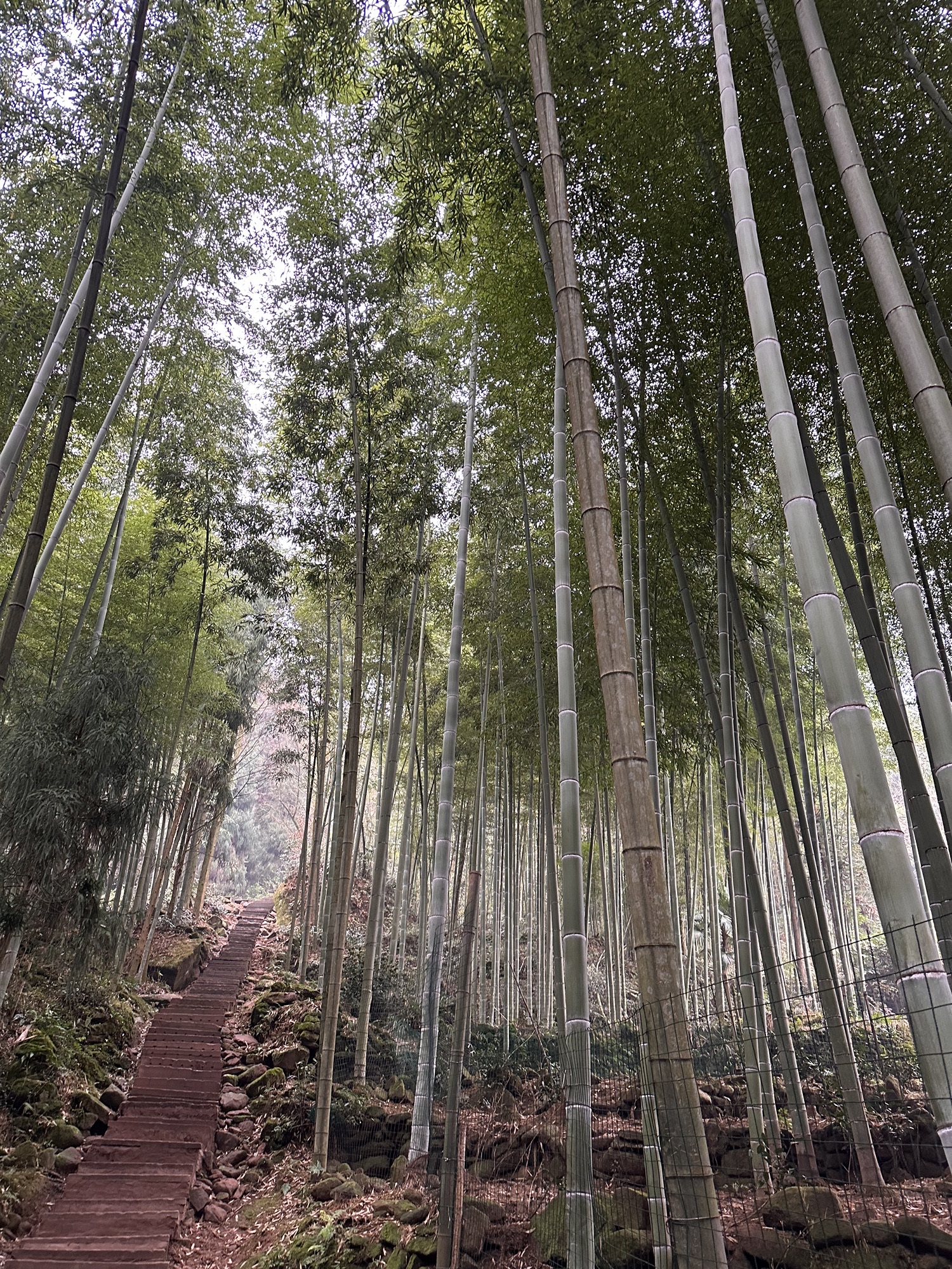成都天台山旅游景区-肖家湾