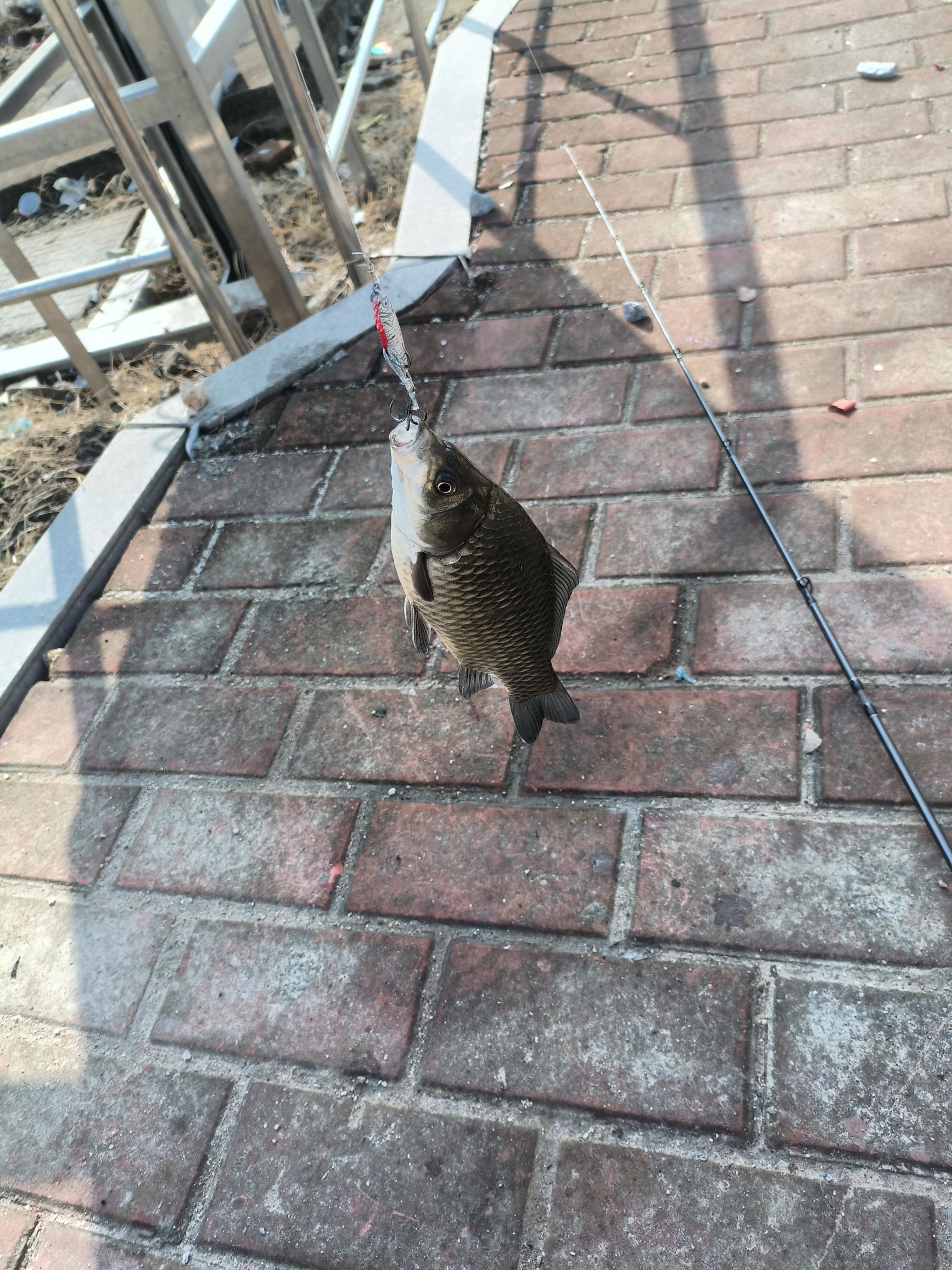 新津钓鱼场