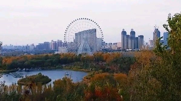 四平植物园旅行图片 1