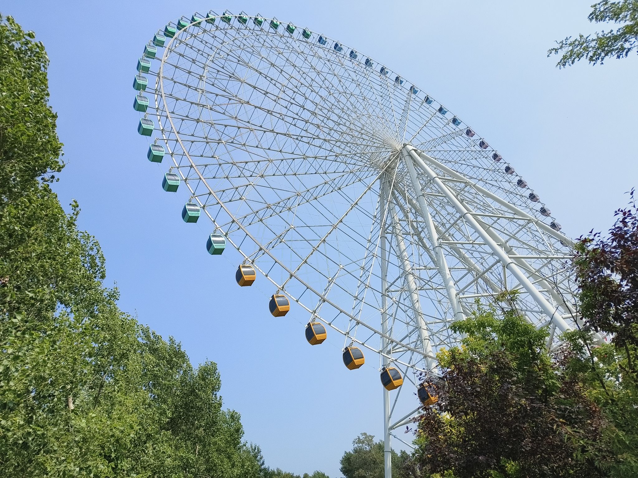 四平植物园旅行图片 1