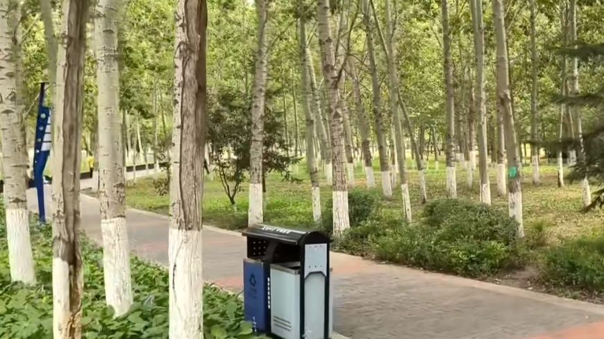 四平植物园旅行图片 3