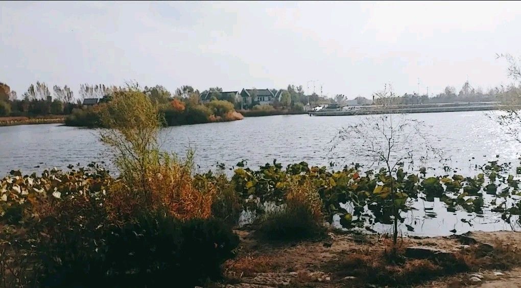 四平植物园旅行图片 3