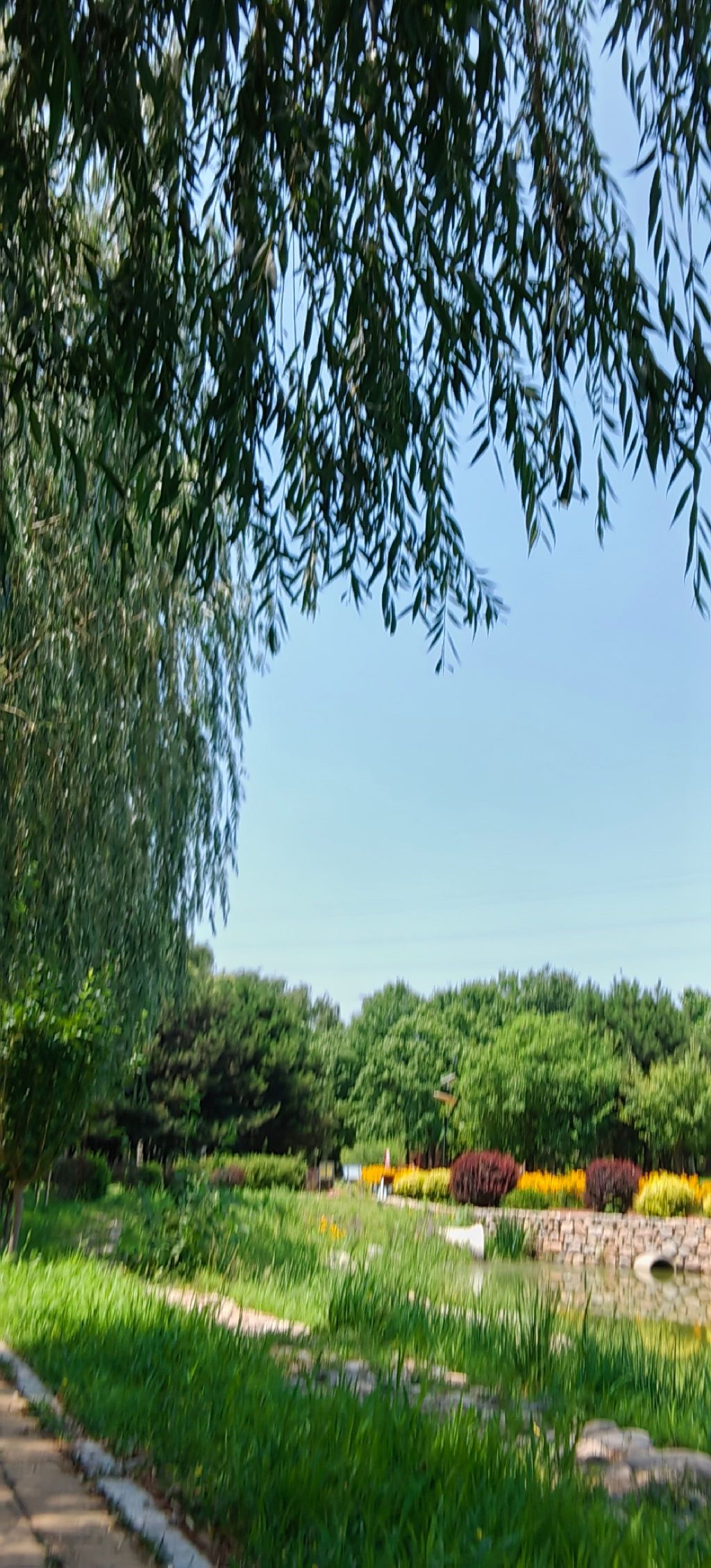 州河国家湿地公园旅行图片 2