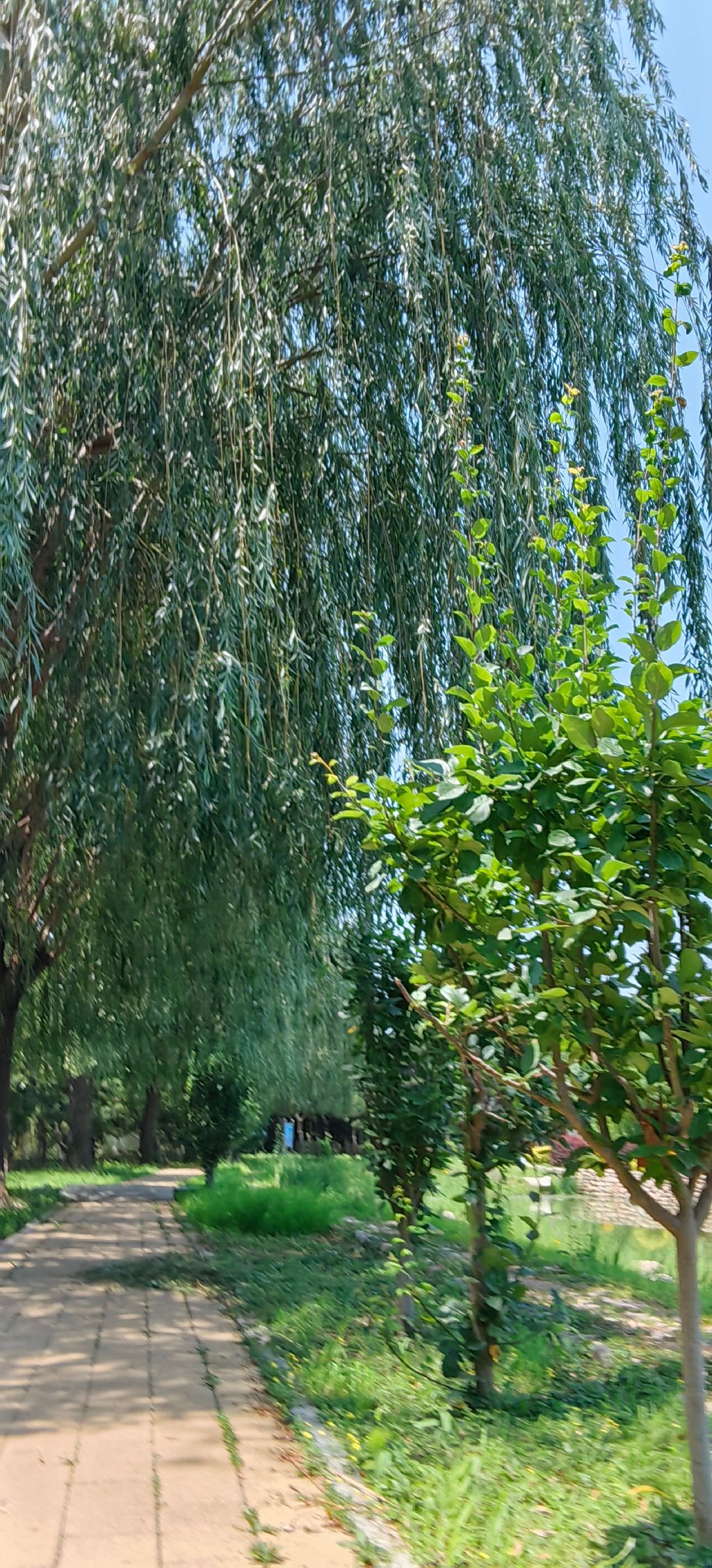 州河国家湿地公园旅行图片 3