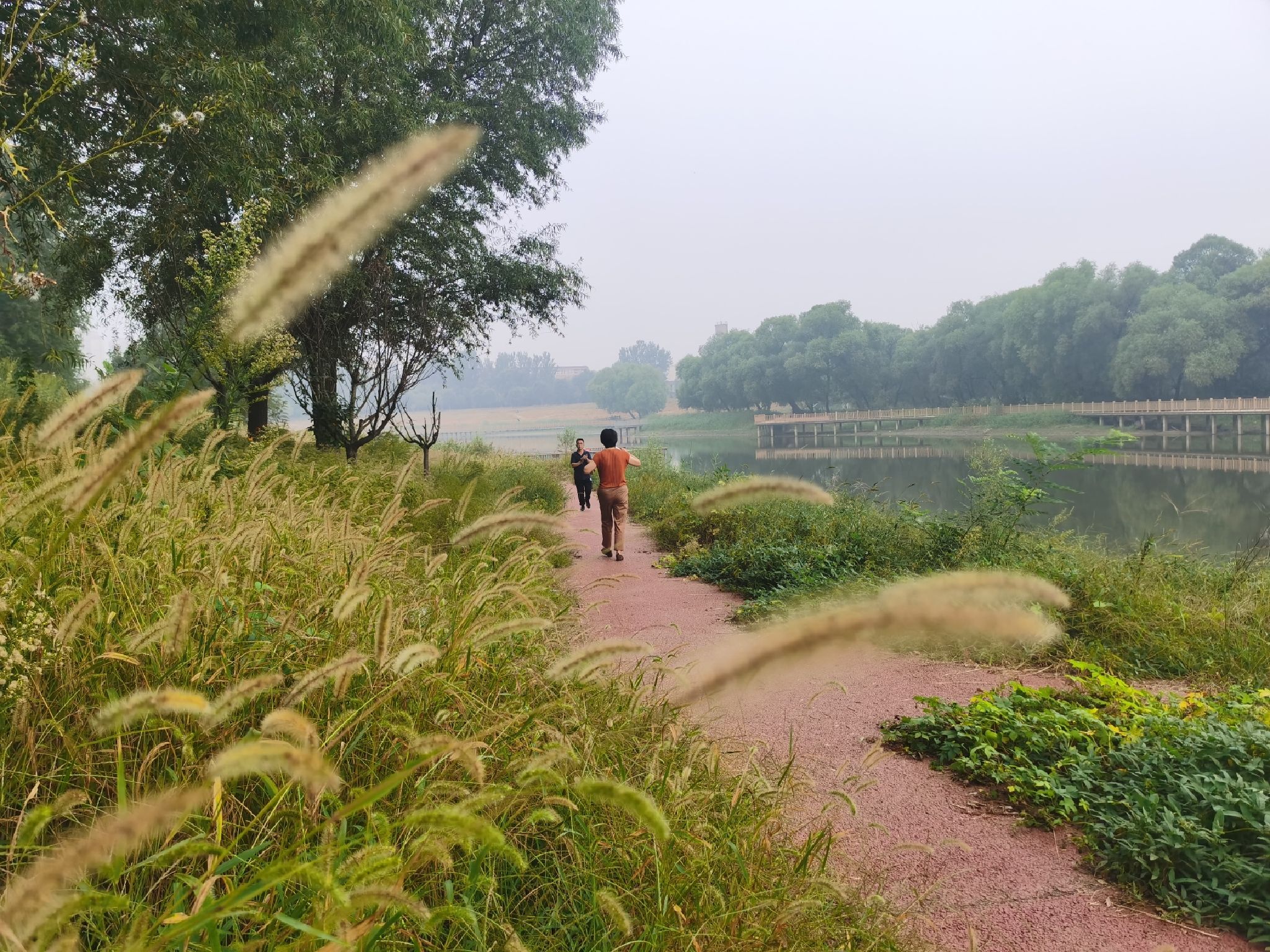 州河国家湿地公园旅行图片 2