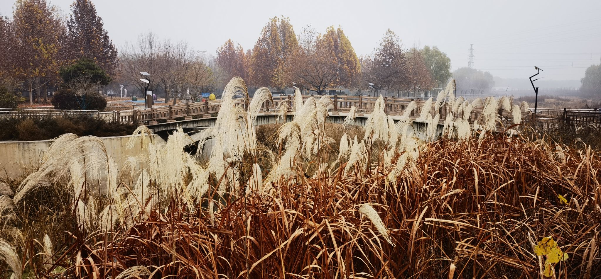 州河国家湿地公园旅行图片 2