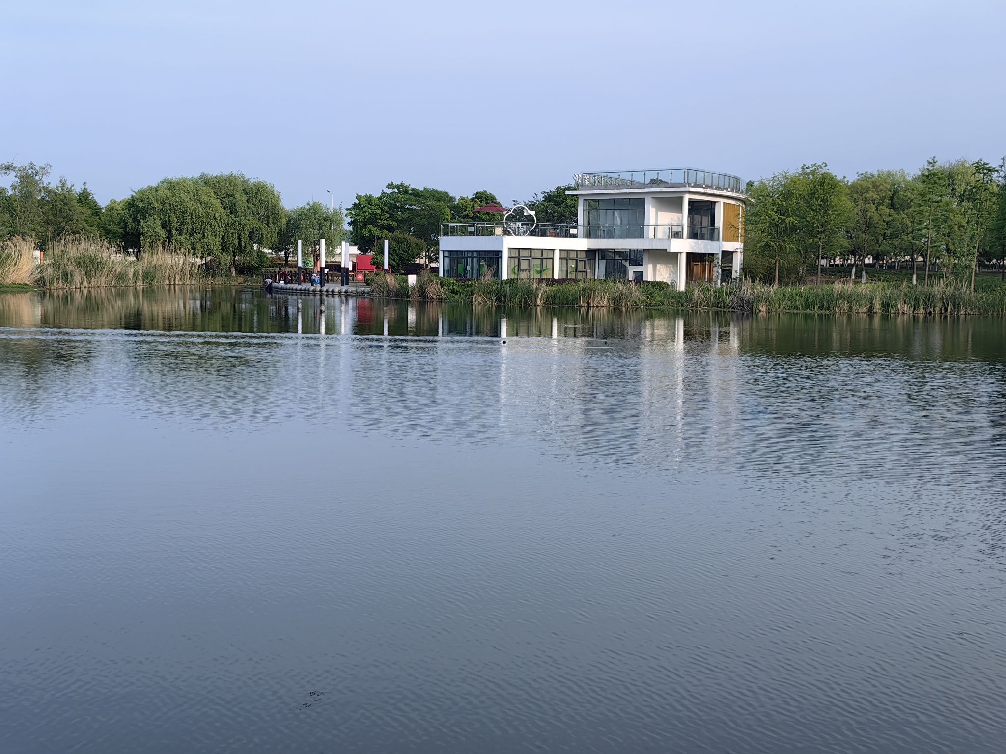 星甸街道中央湿地公园旅行图片 1