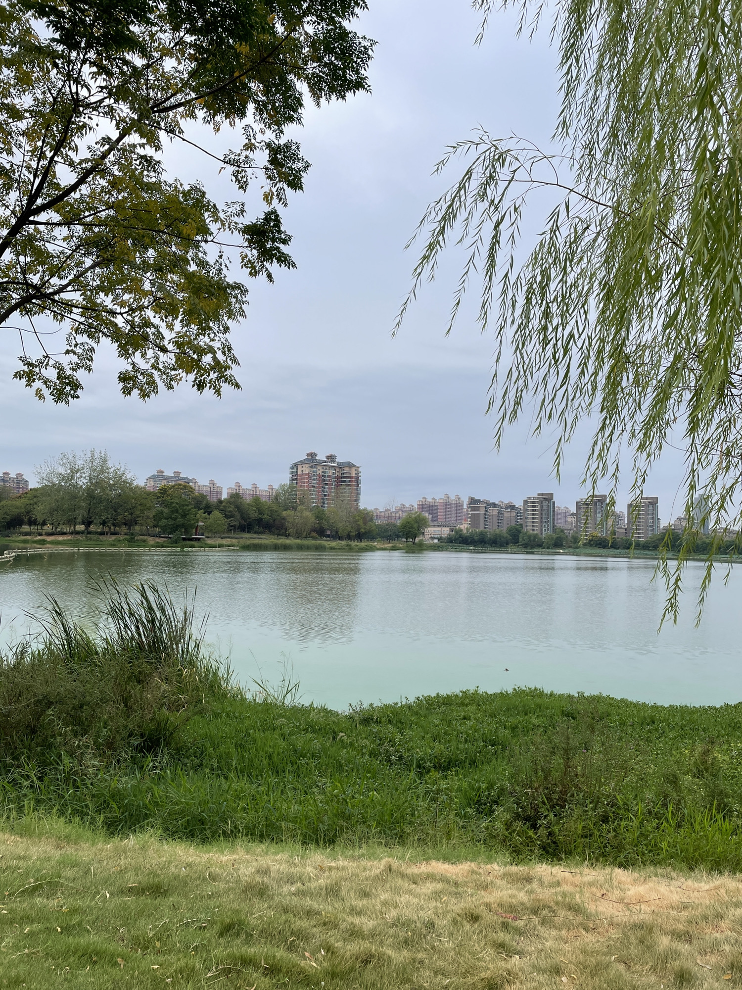 听语公园旅行图片 3