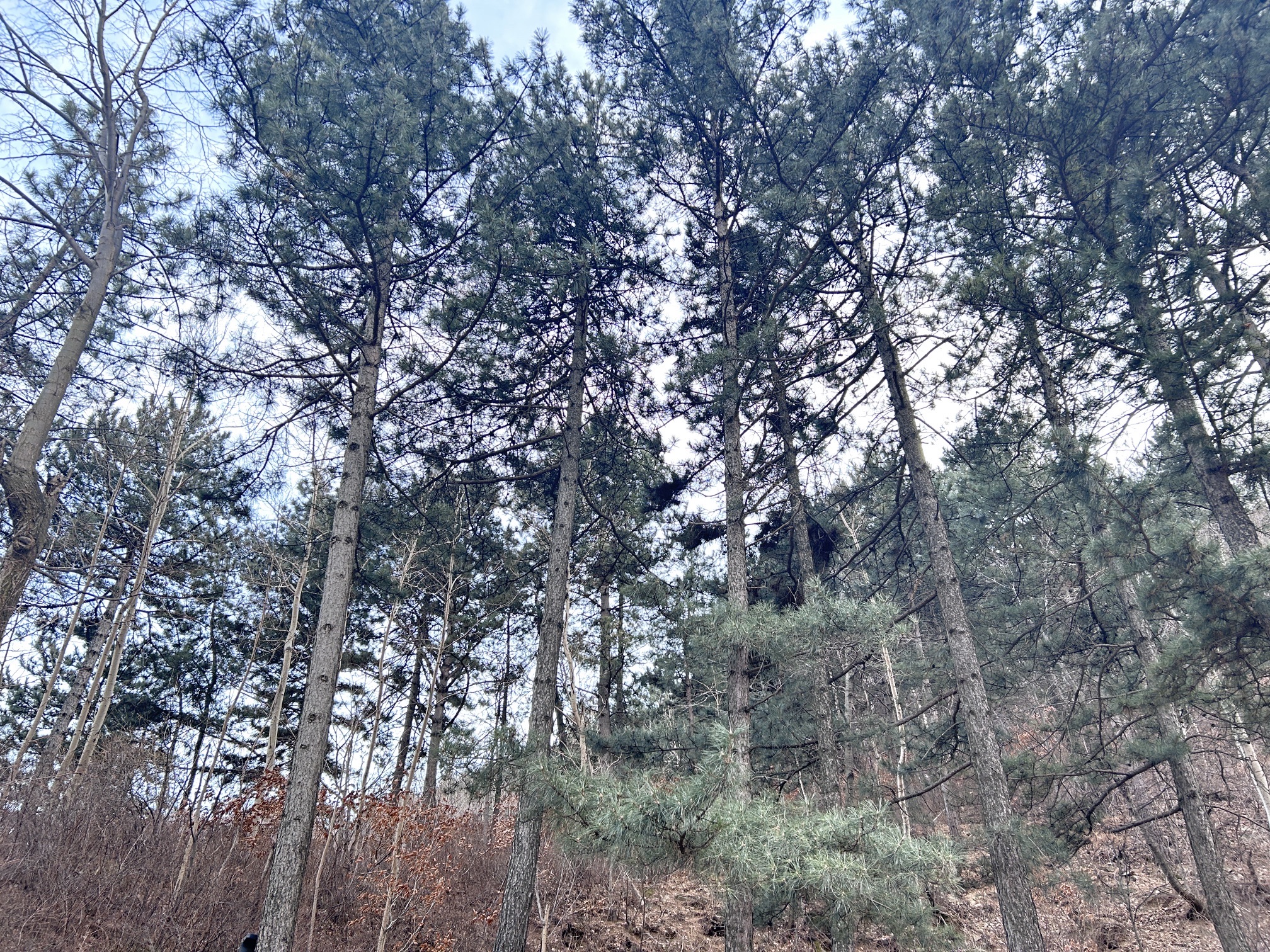 承德双滦元宝山风景区