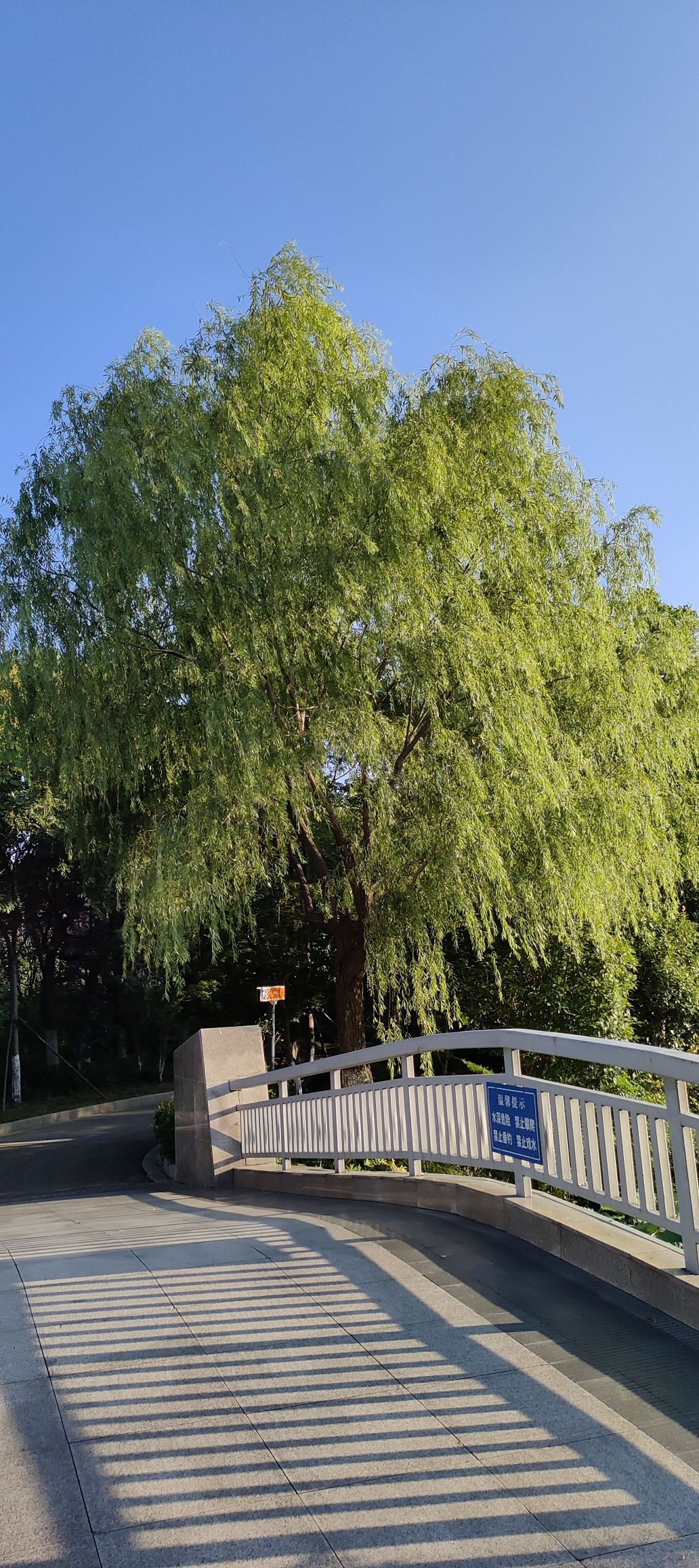 润都公园旅行图片 3
