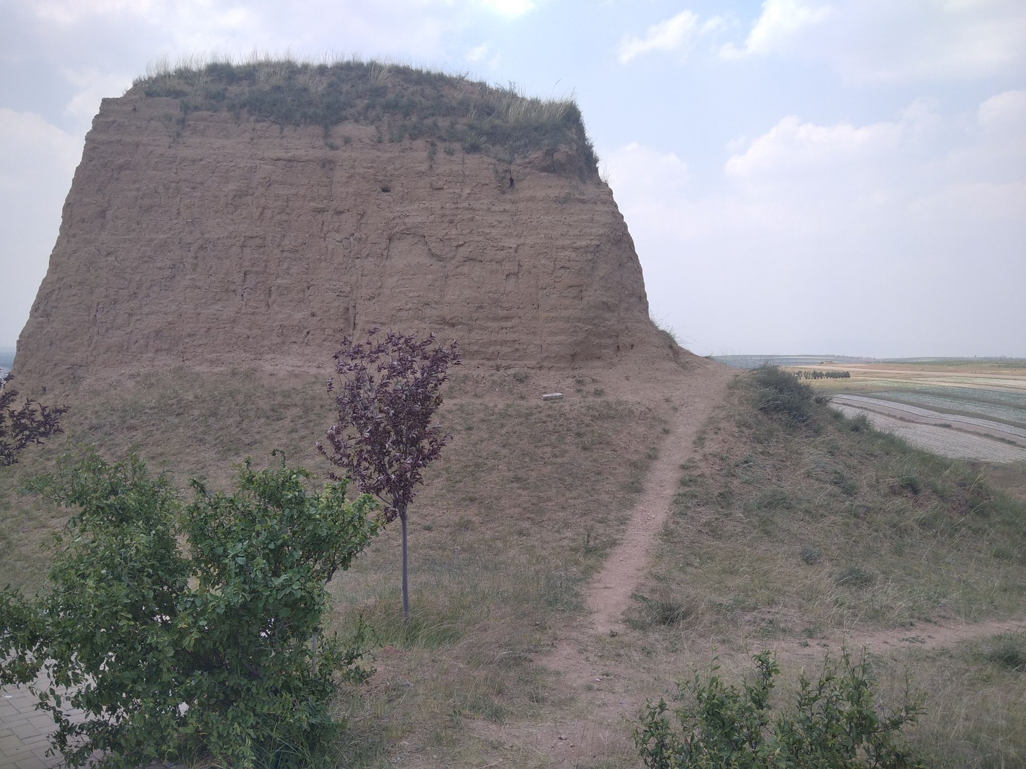 新荣区明长城遗址旅行图片 1