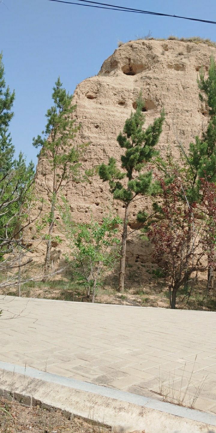 新荣区明长城遗址旅行图片 1
