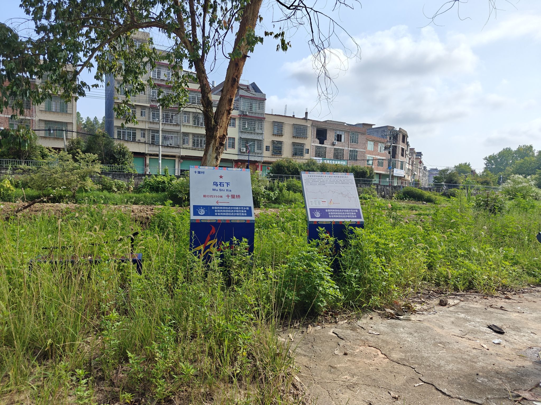 赤土畲族乡乌龟岭旅游风景区旅行图片 2