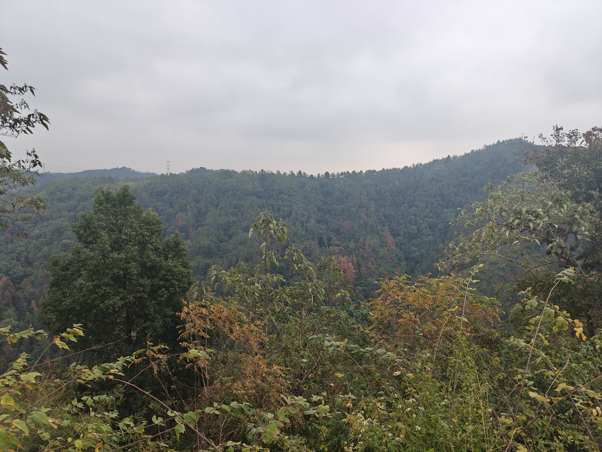 赤土畲族乡乌龟岭旅游风景区旅行图片 3