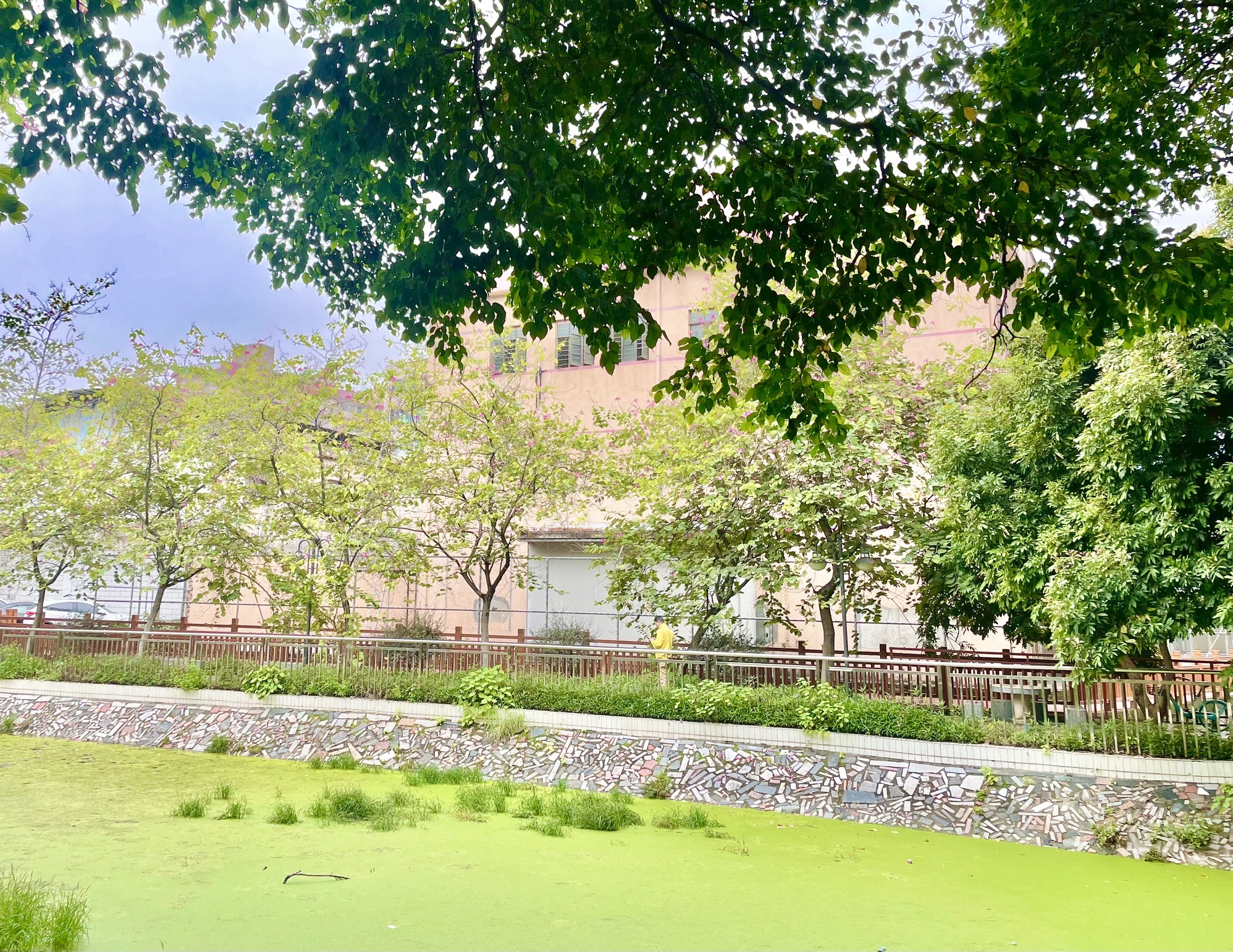 员村公园旅行图片 1