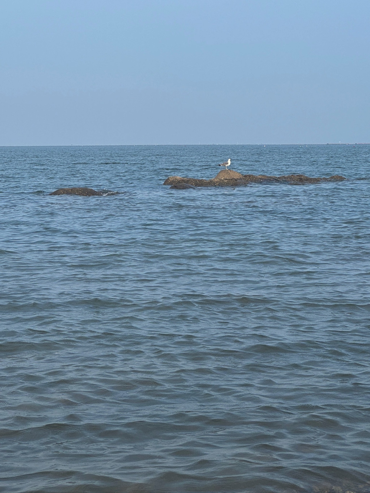 兴海栈道旅行图片 3
