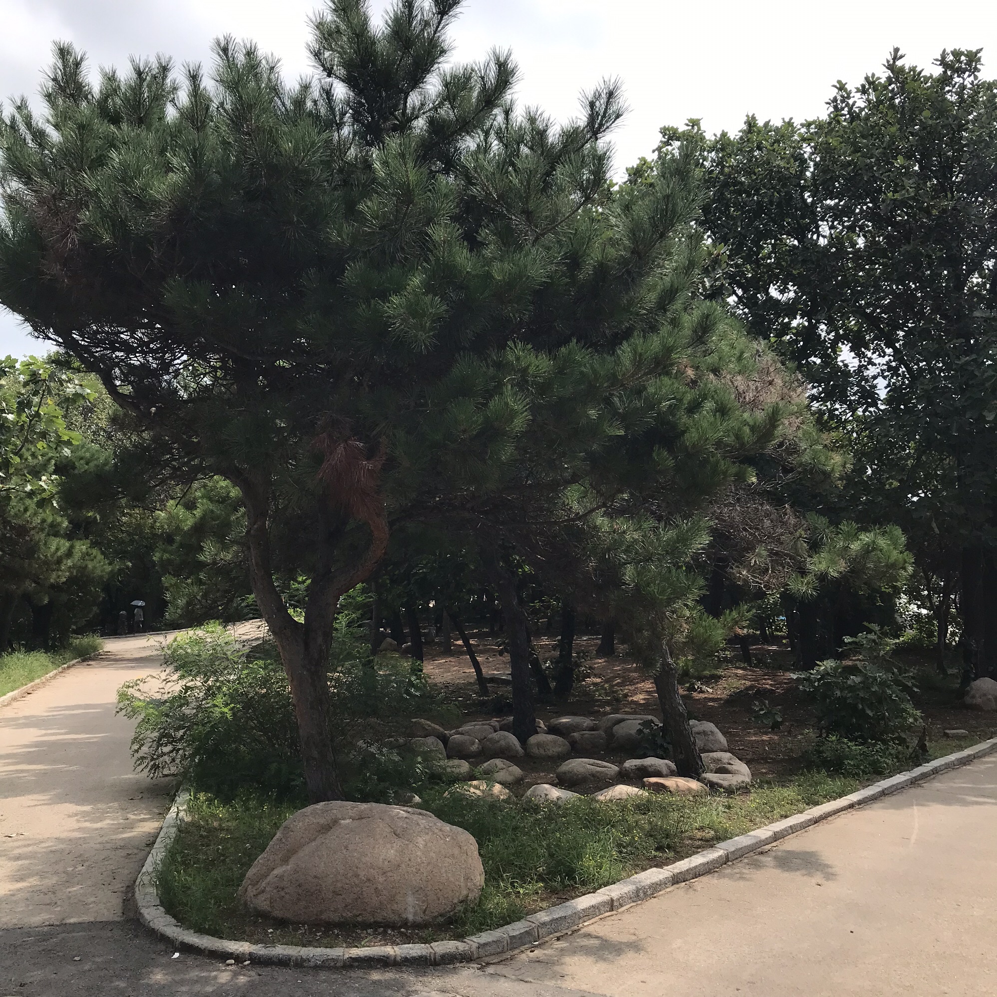 兴海栈道旅行图片 1