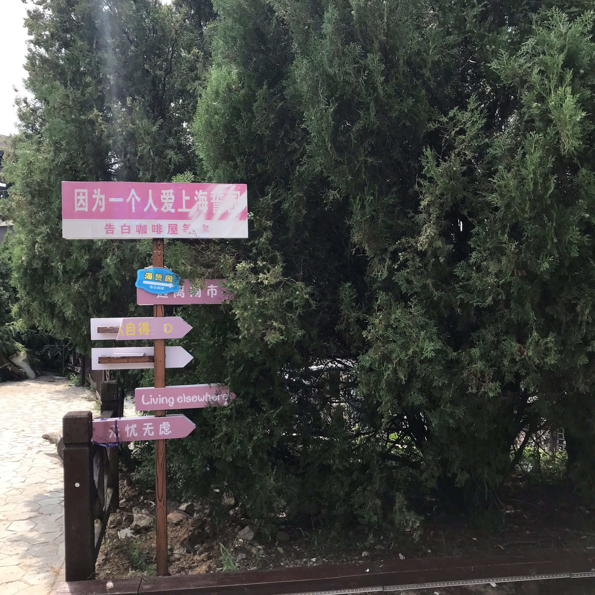 兴海栈道旅行图片 2