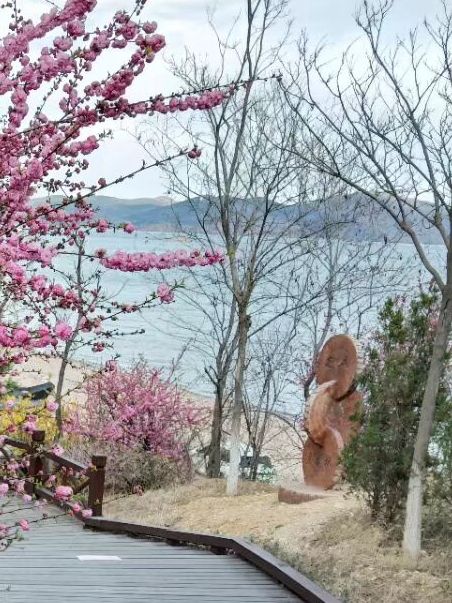 兴海栈道旅行图片 2