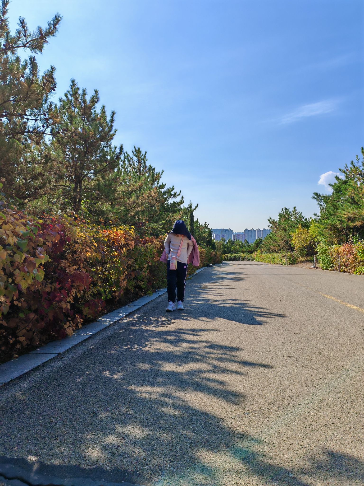 采凉山森林公园(暂停开放)旅行图片 2