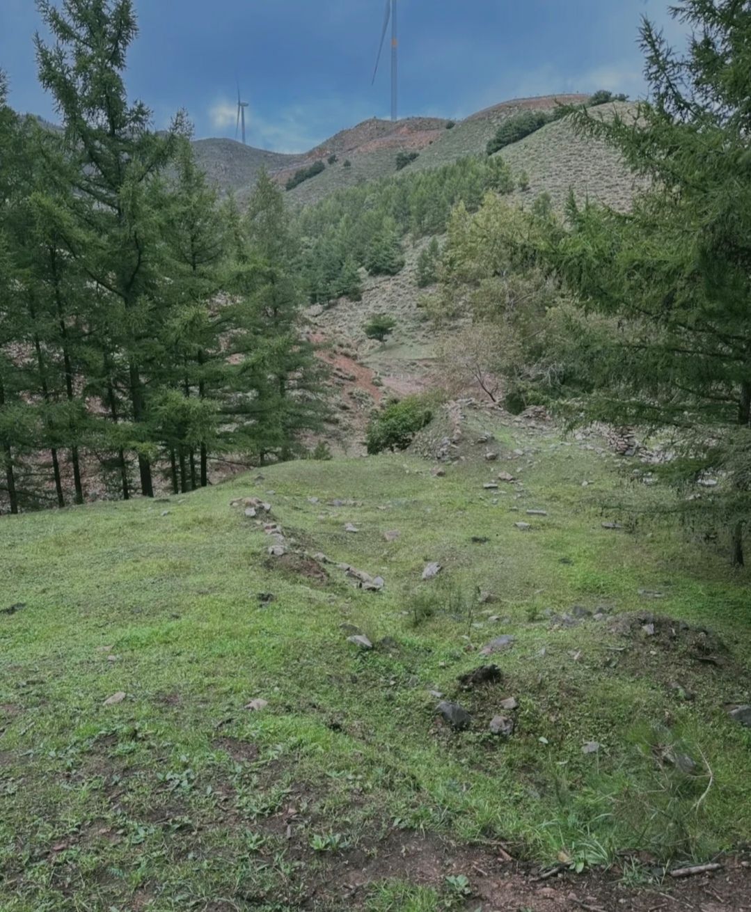 采凉山森林公园(暂停开放)旅行图片 1
