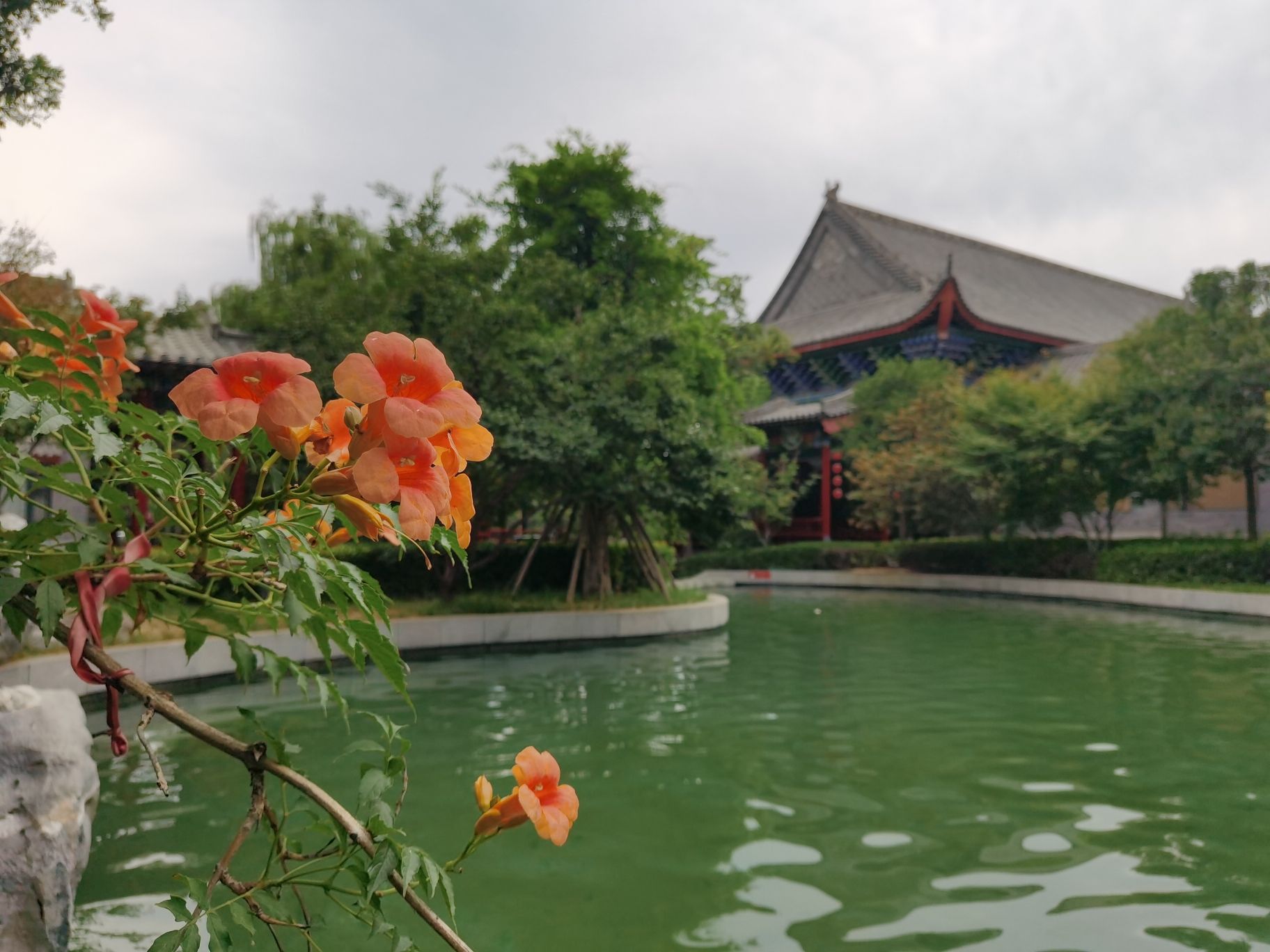 河洛古城旅行图片 3