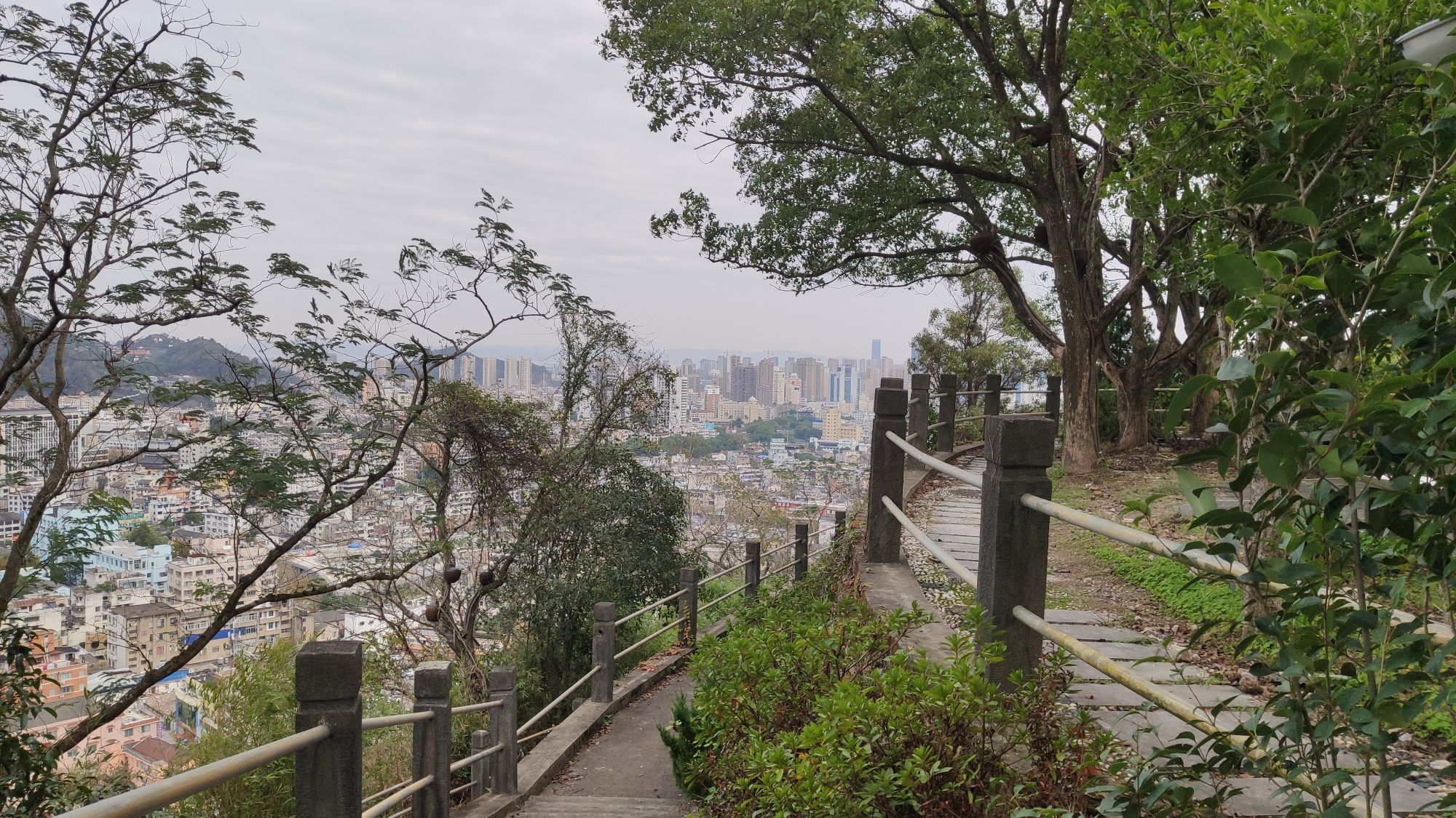 乐成西塔旅行图片 3