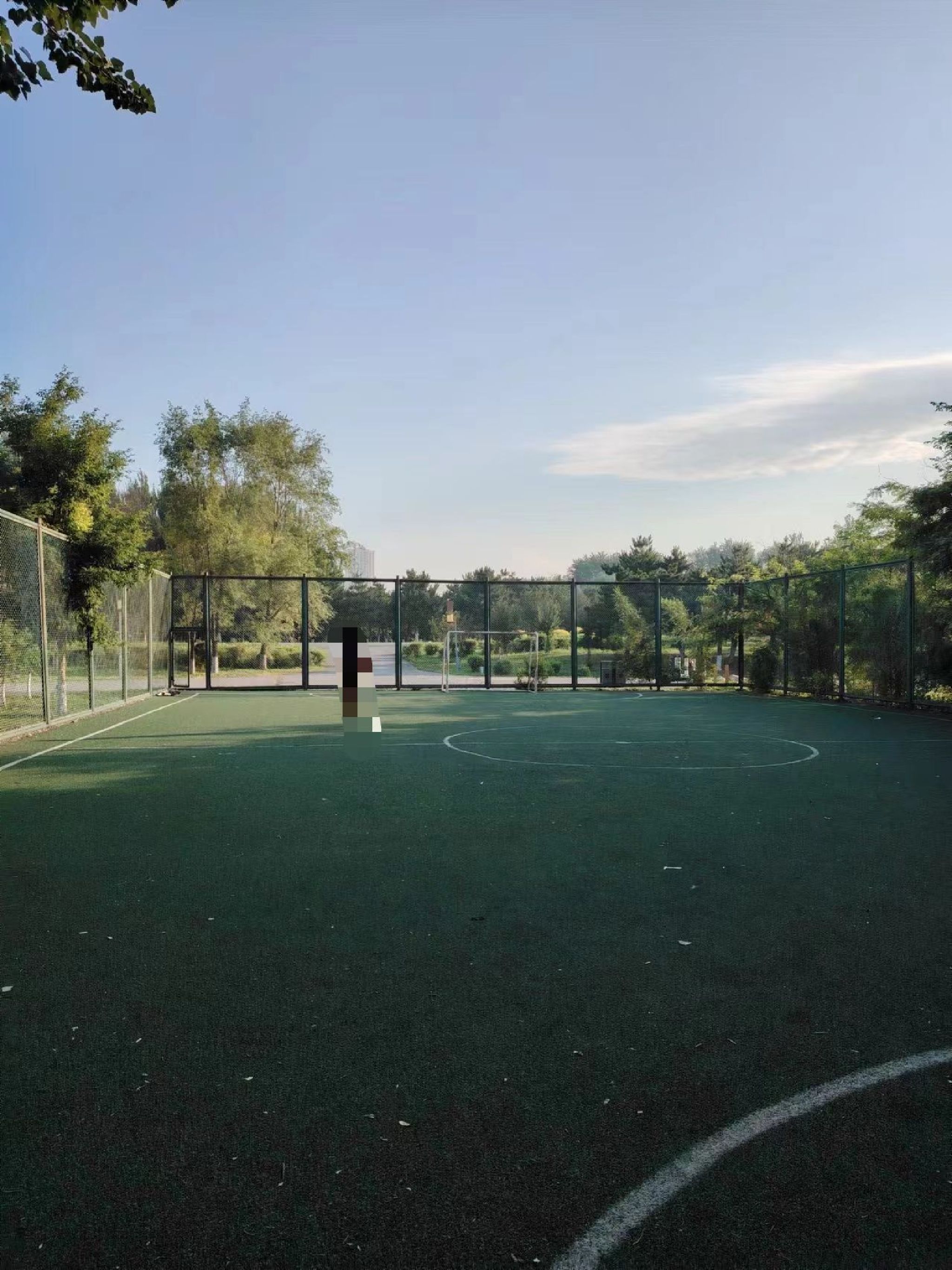 蒲风水韵花坛广场旅行图片 1