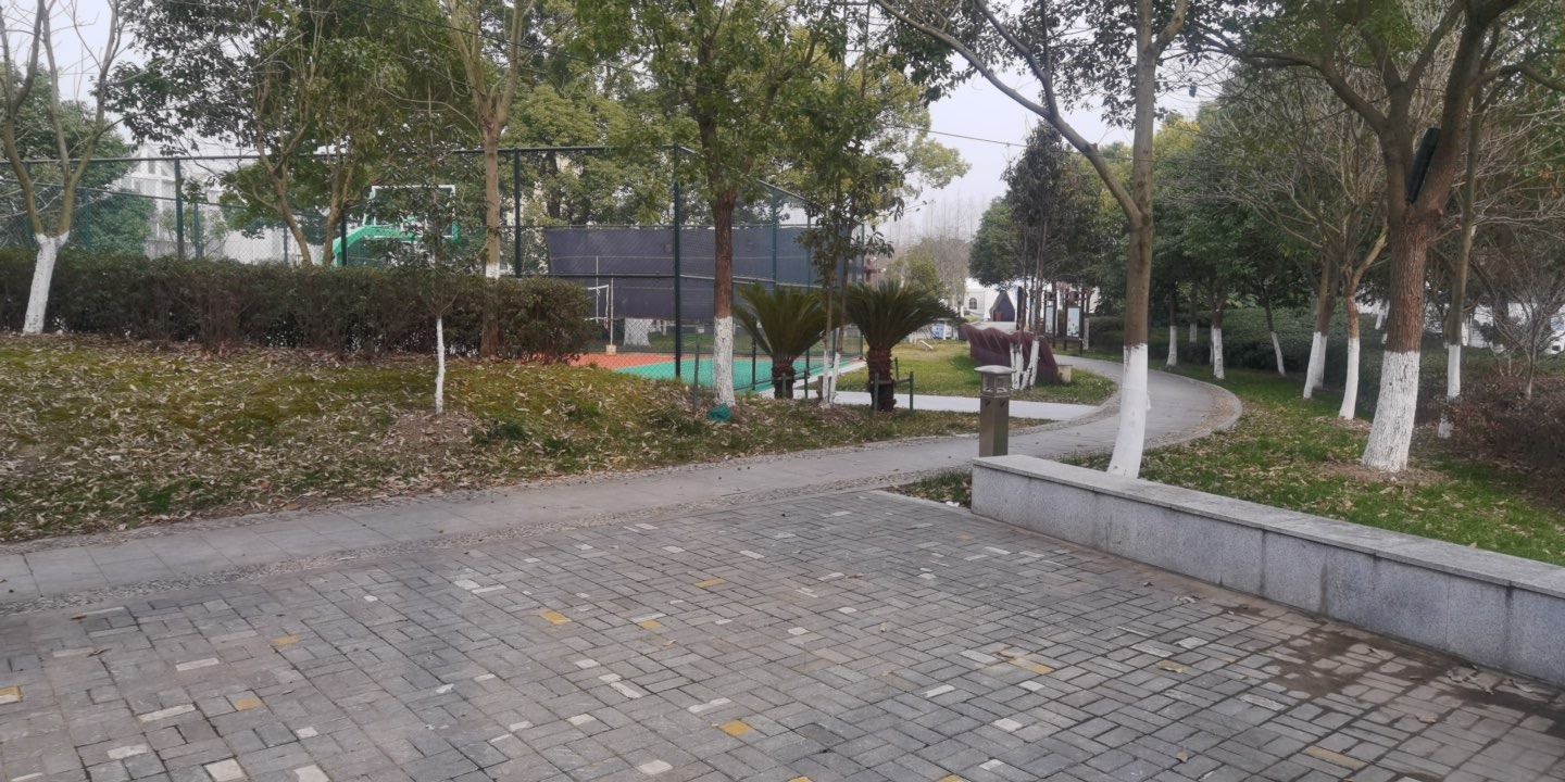 泖水文化公园旅行图片 3