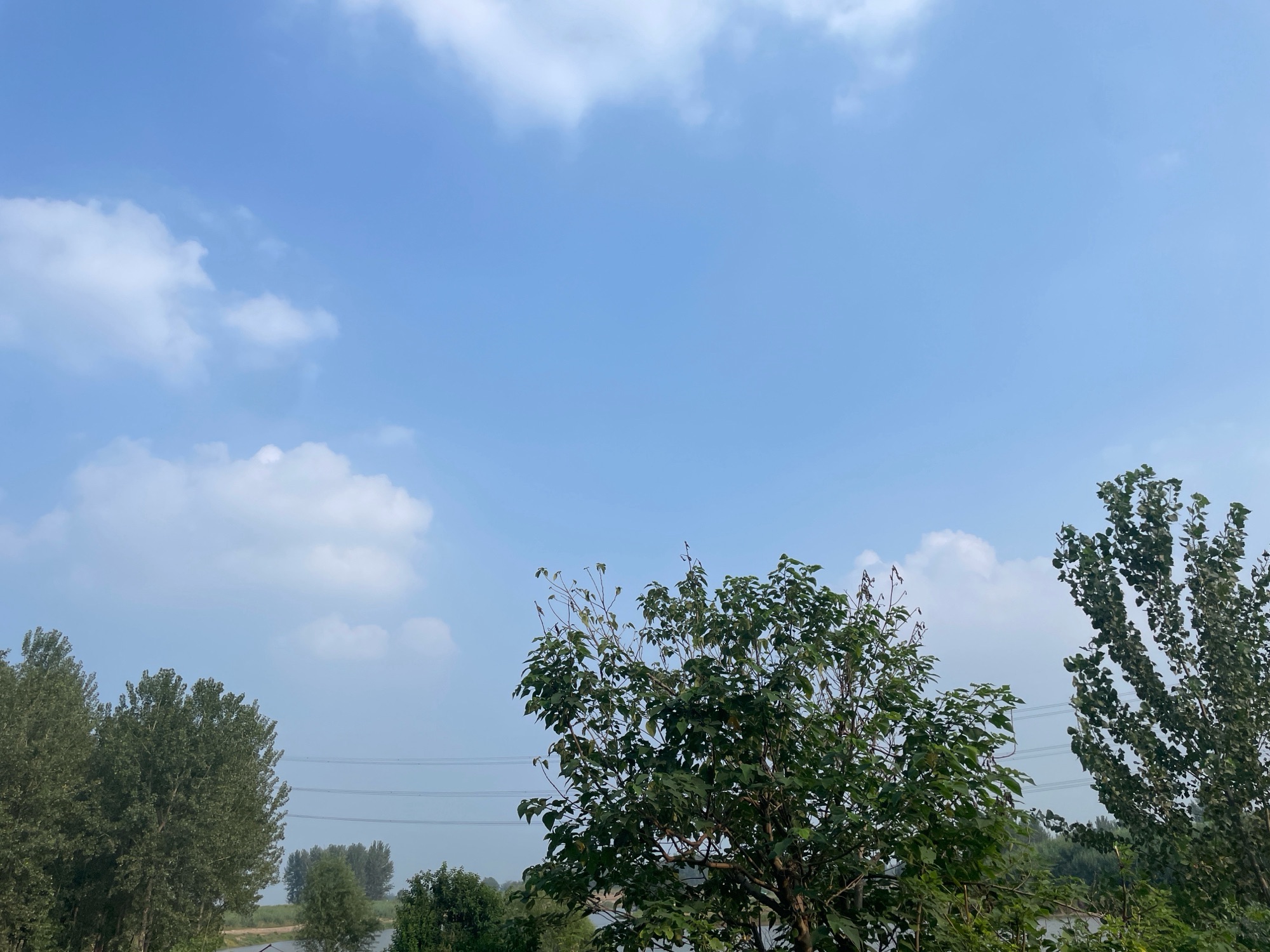 安徽界首两湾国家湿地公园旅行图片 3