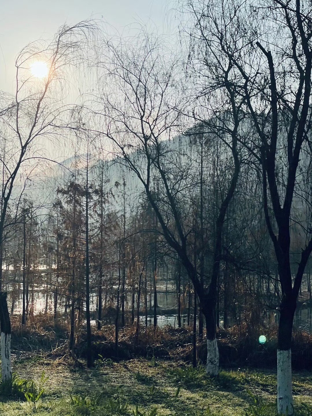 汉丰湖国家湿地公园旅行图片 1