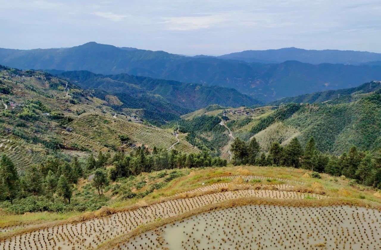 溆浦山背花瑶梯田景区