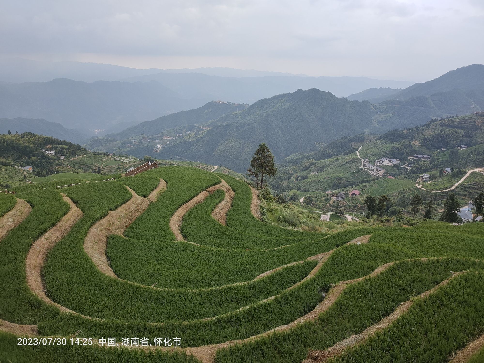 溆浦山背花瑶梯田景区旅行图片 2